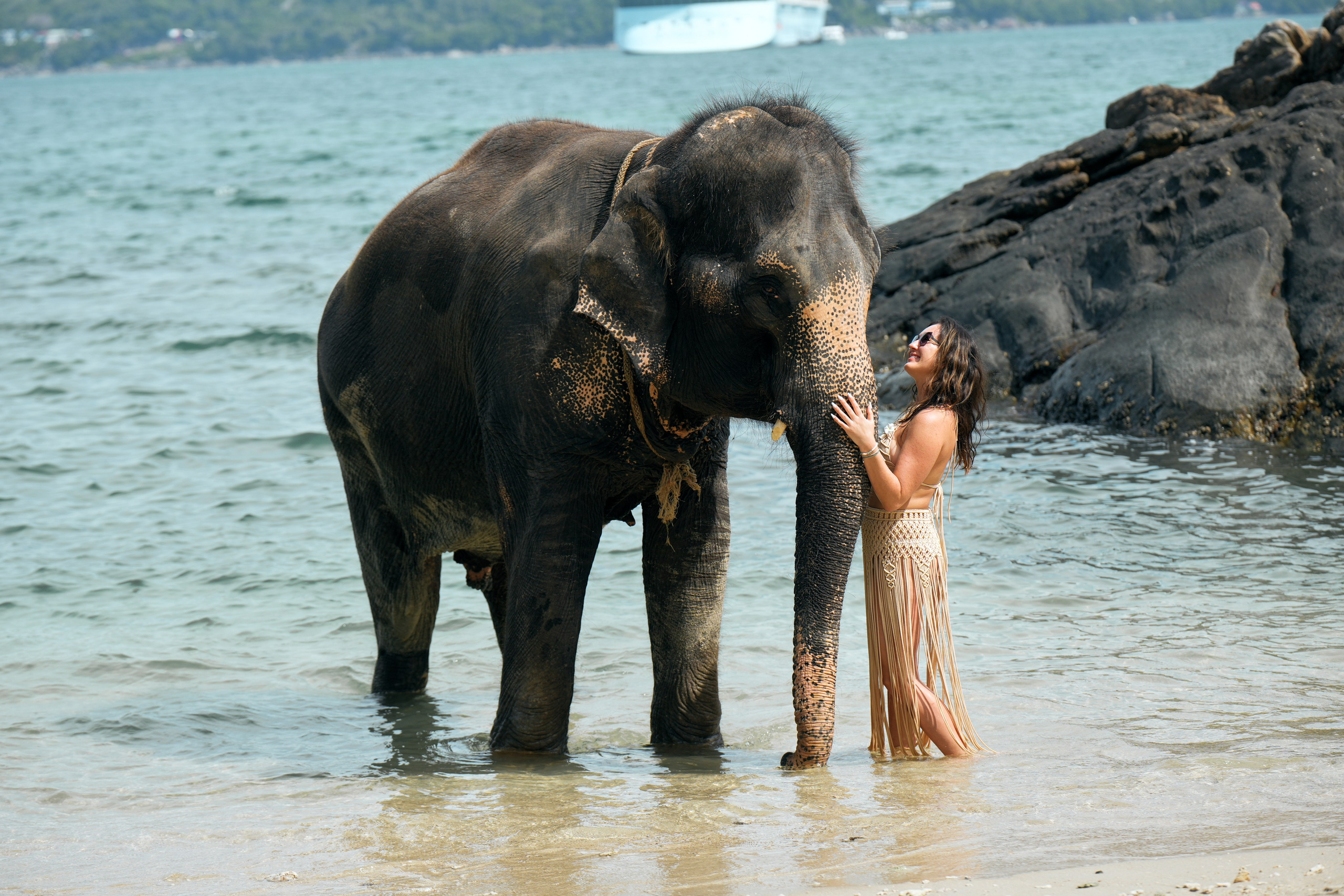 Elephant beach. Фото и видеосъемка в Симферополе