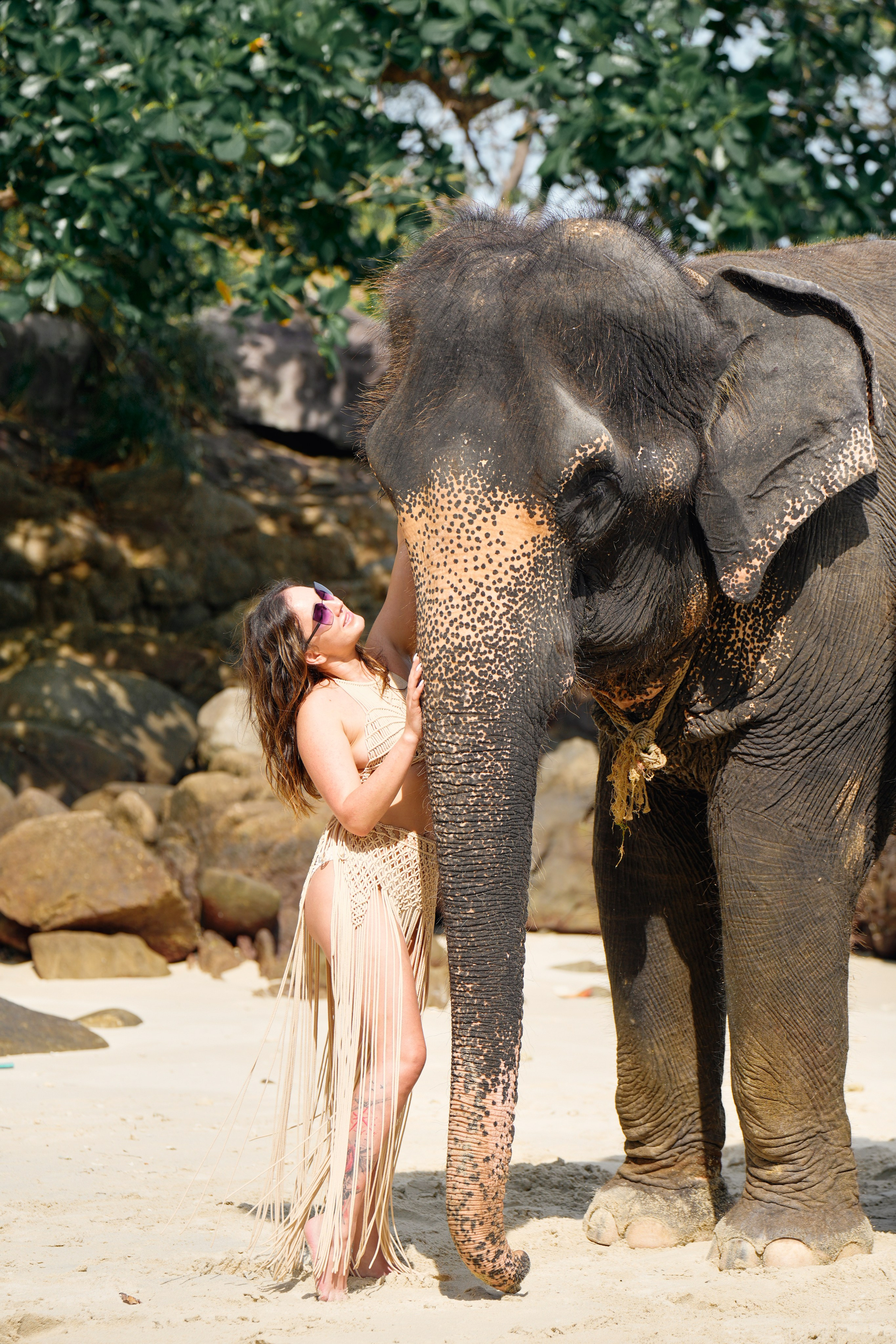 Elephant beach. Фото и видеосъемка в Симферополе