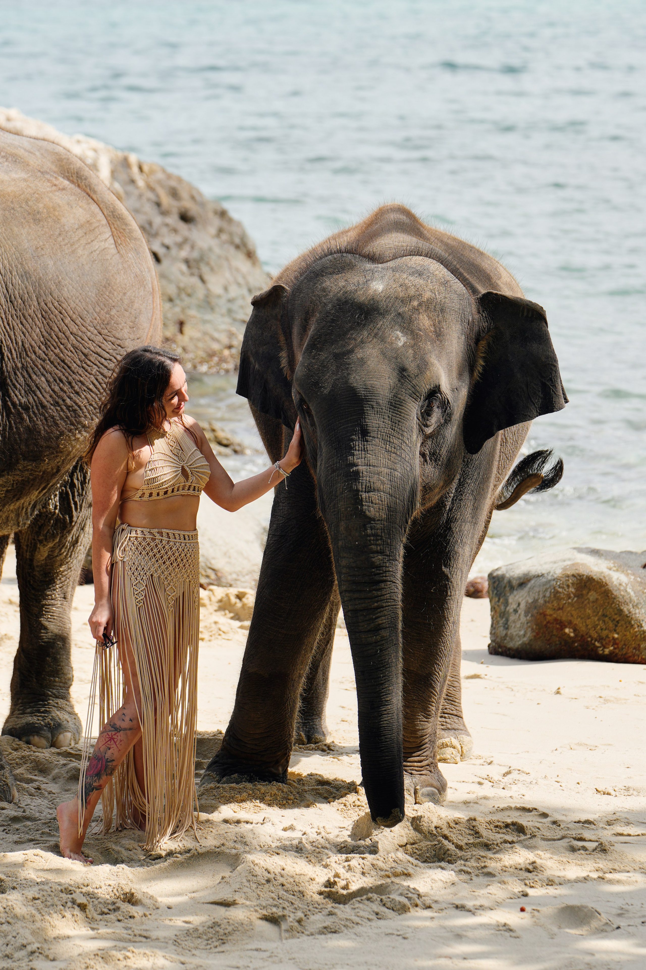 Elephant beach. Фото и видеосъемка в Симферополе