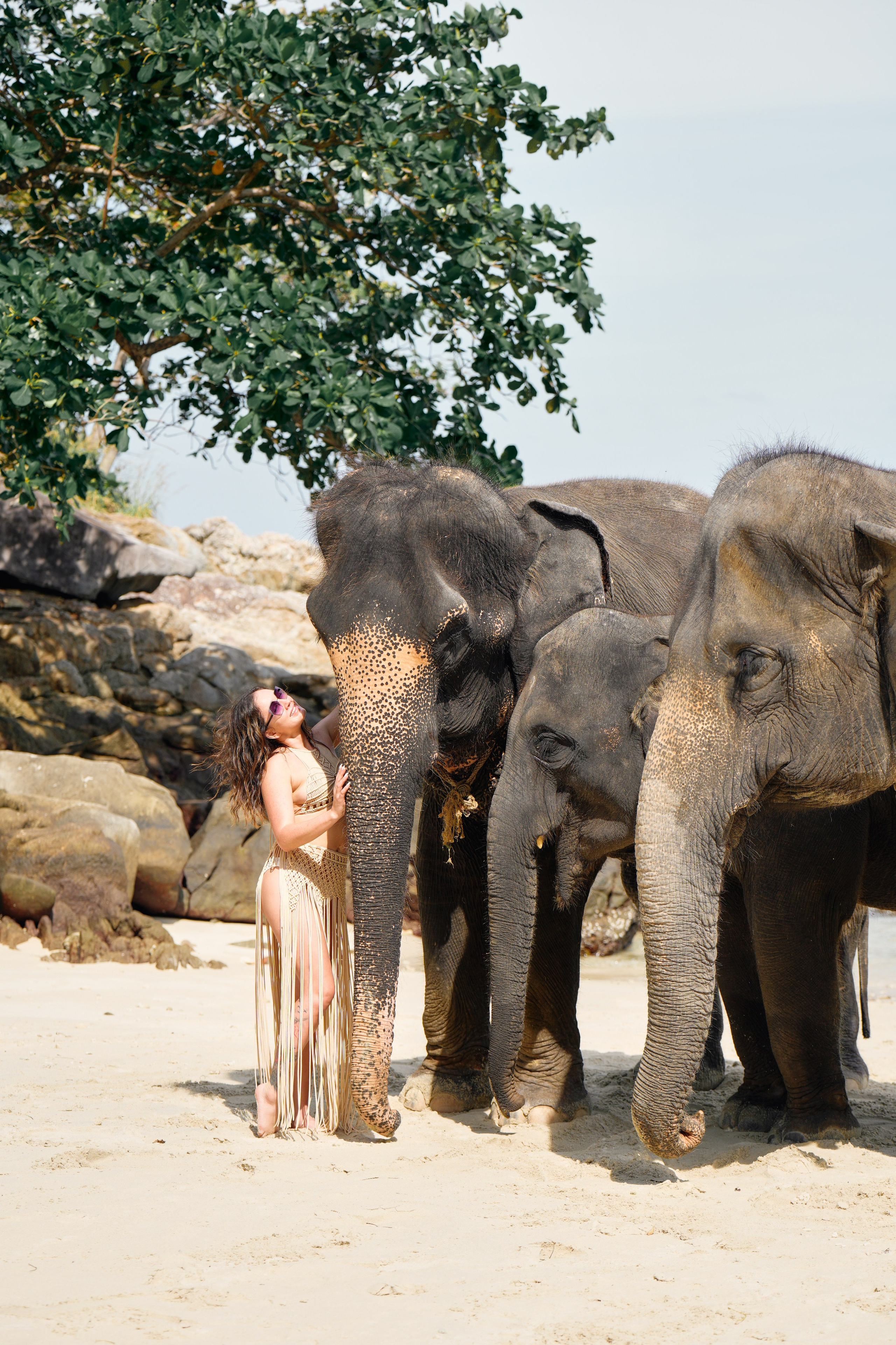 Elephant beach. Фото и видеосъемка в Симферополе