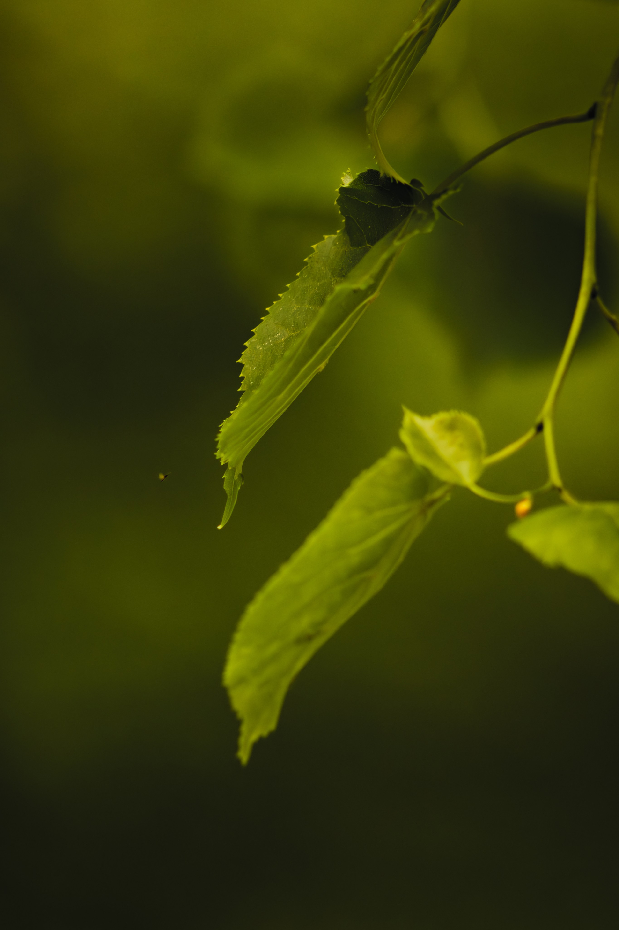Без людей. Фотограф Крутой Максим