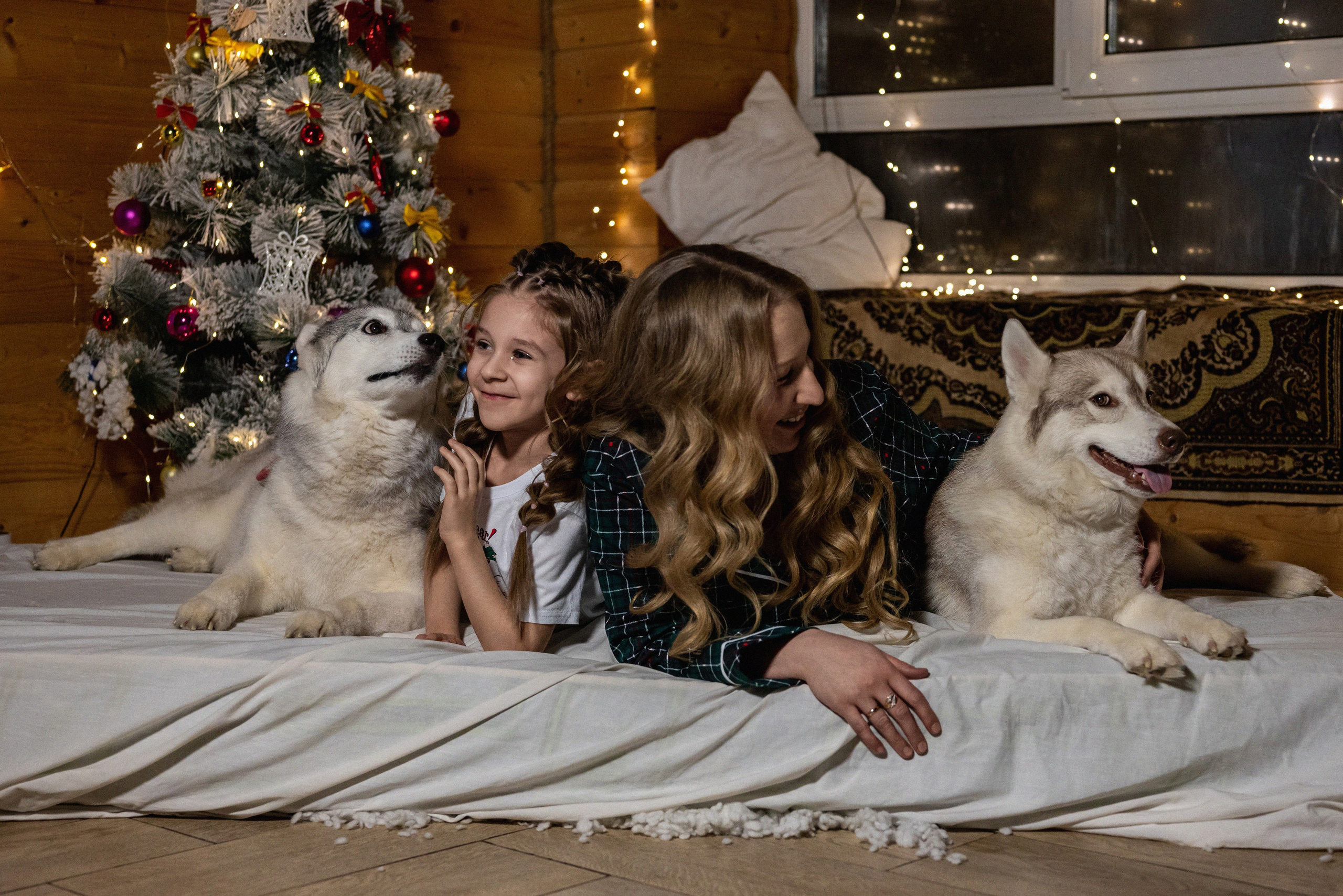 Фотопроект с хаски 2024 г. Фотограф в городе Салават