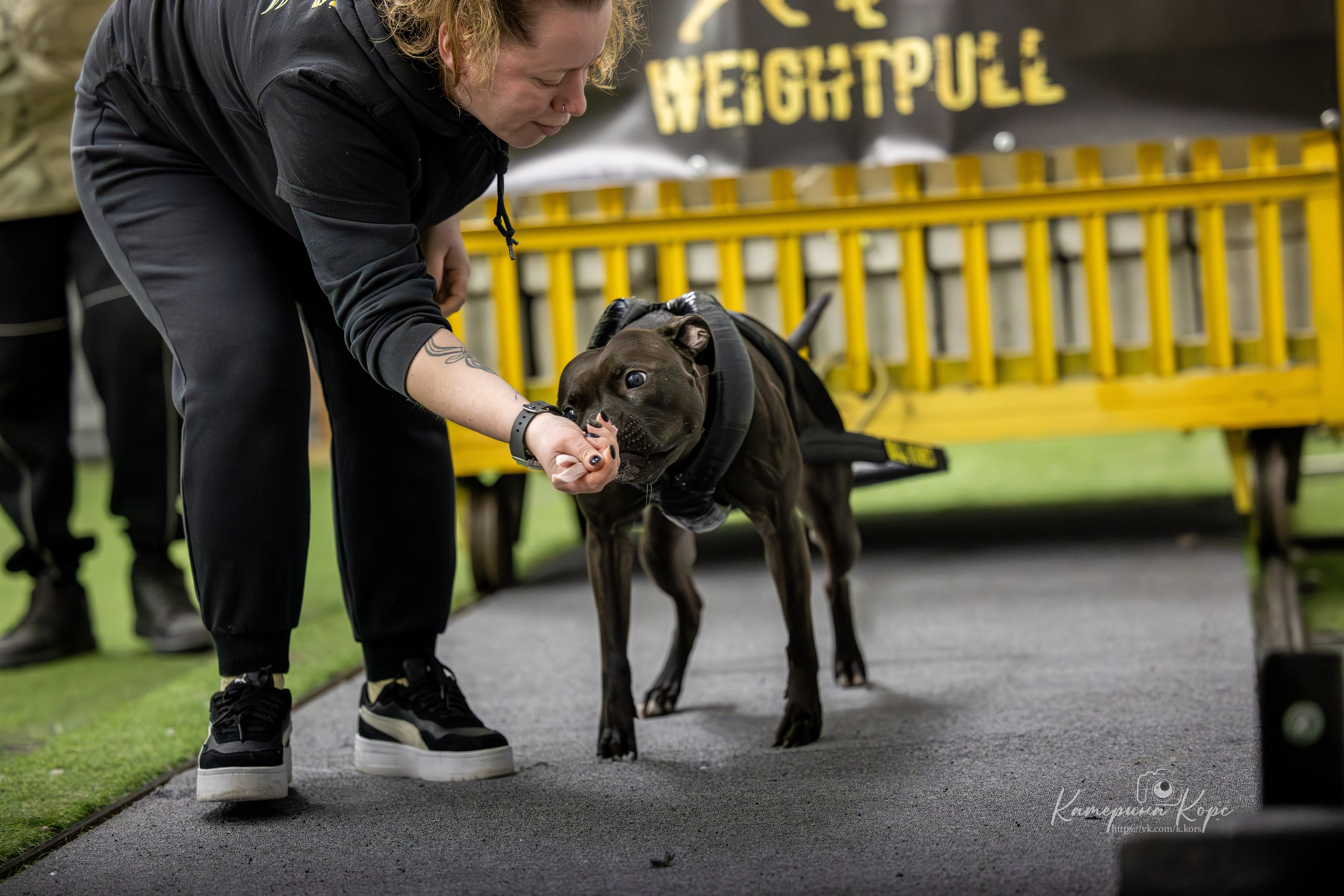 Спорт. Главная