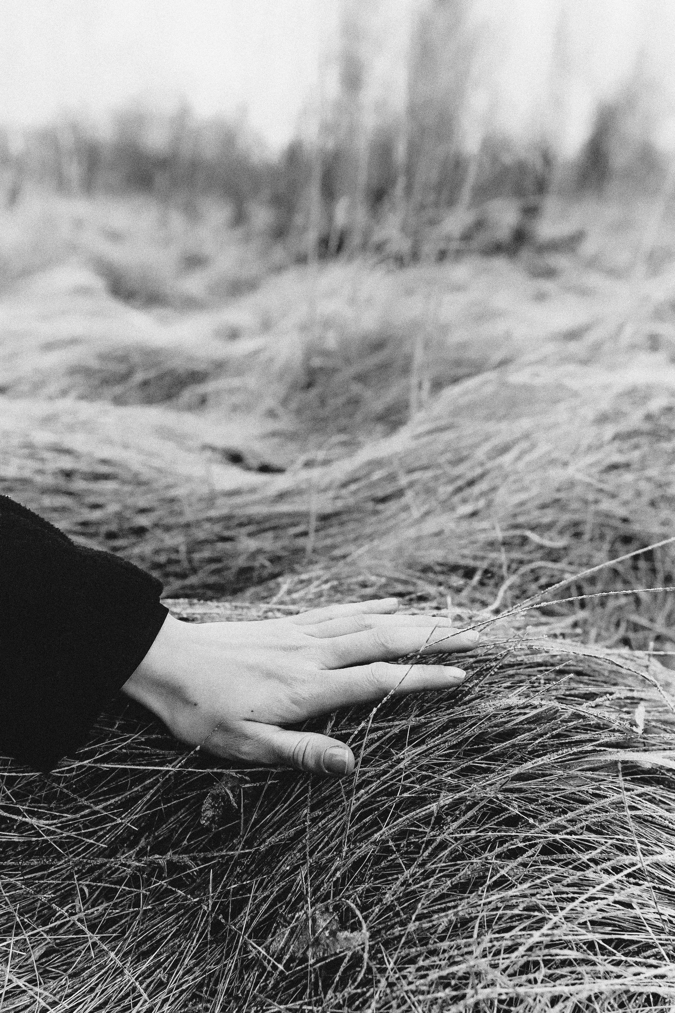 АНАСТАСИЯ | 2023