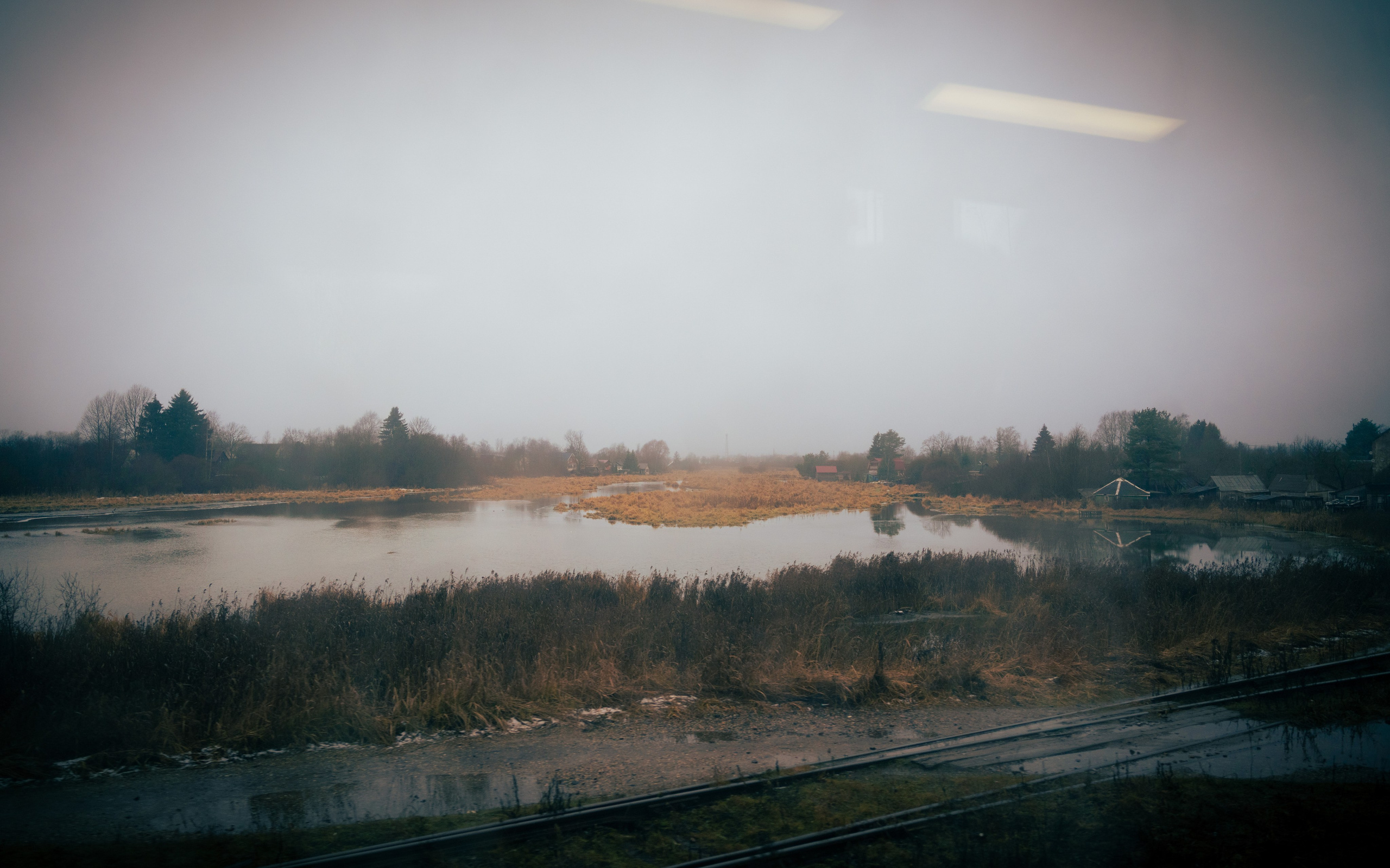 Из наблюдений. Плак или Квак