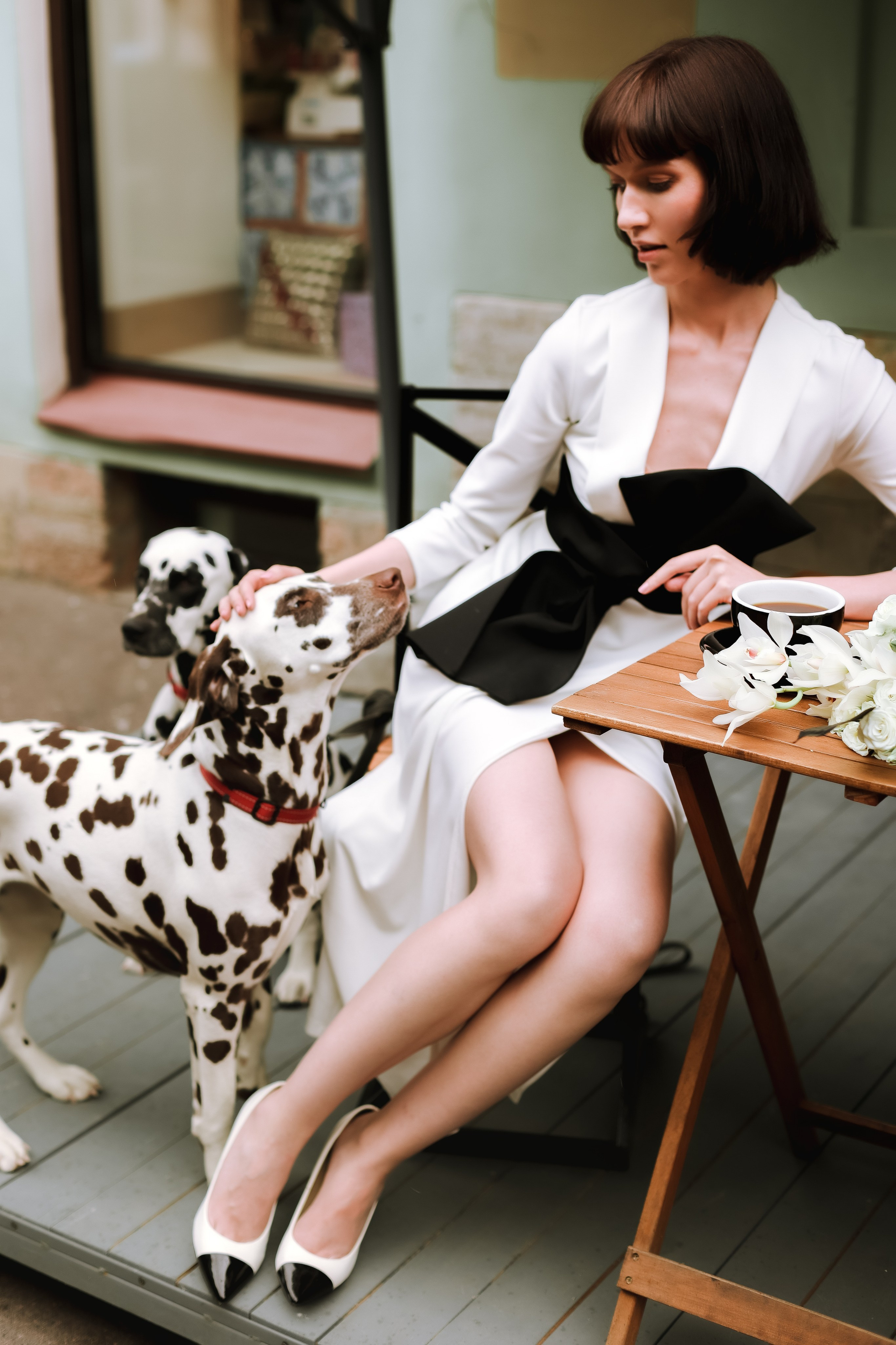 Свадебная прогулка с далматинцами. Свадебный и love story фотограф в Санкт-Петербурге (Спб) Natali Iva