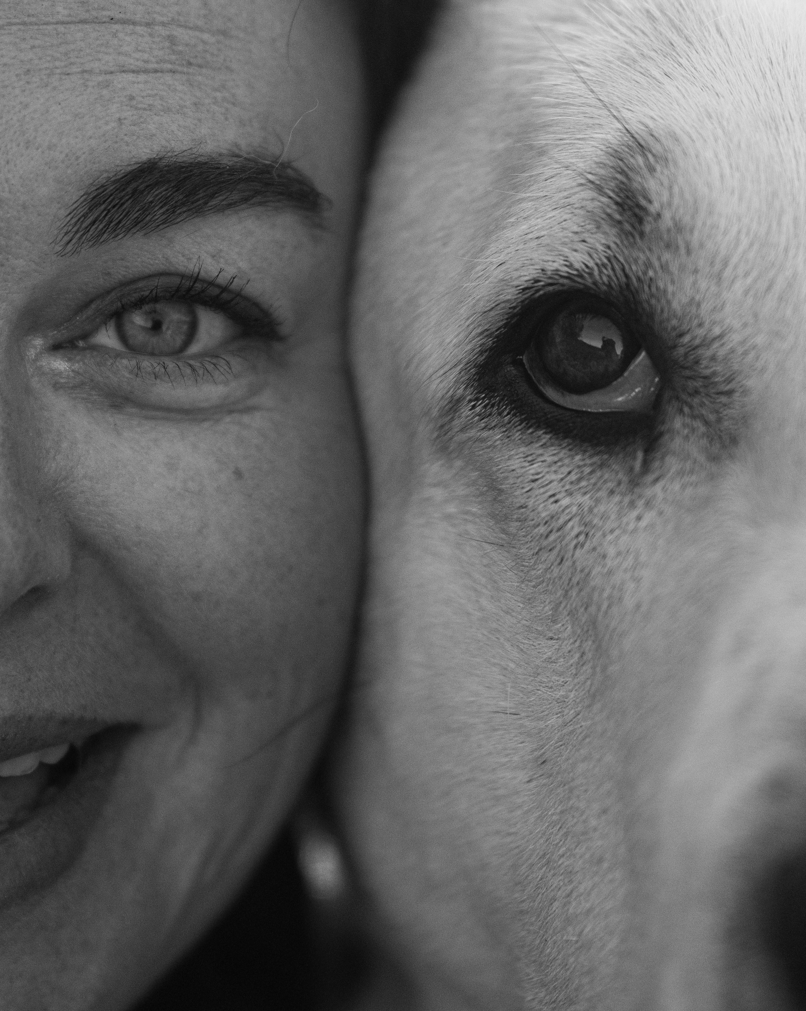 Настя и Рахат. Фотограф анималист в Москве и Санкт-Петербурге Свиридова Анна