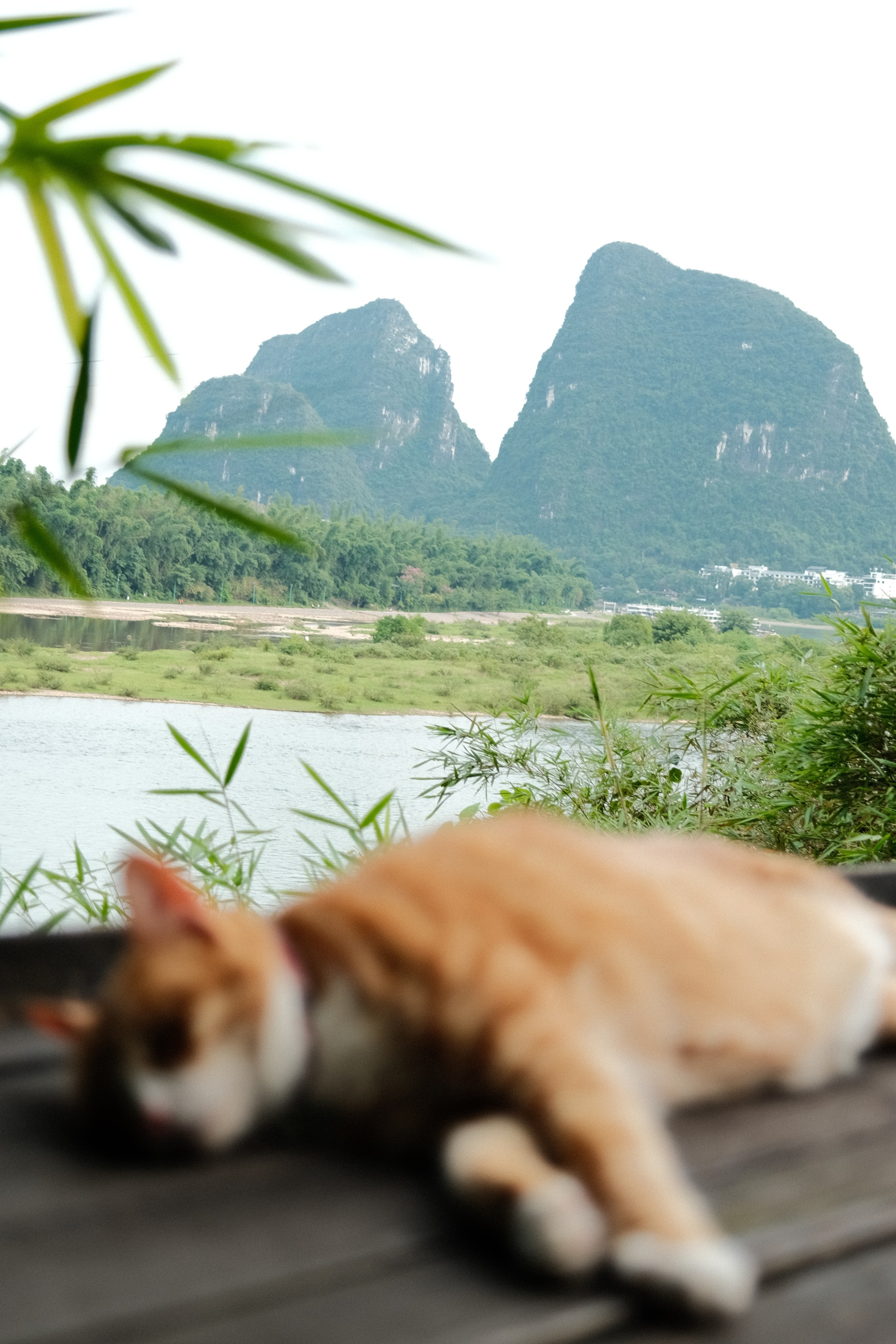 Yangshuo China Guiling. Фотограф В Гуанчжоу и Шэньчжэнь Андрей Лопатин