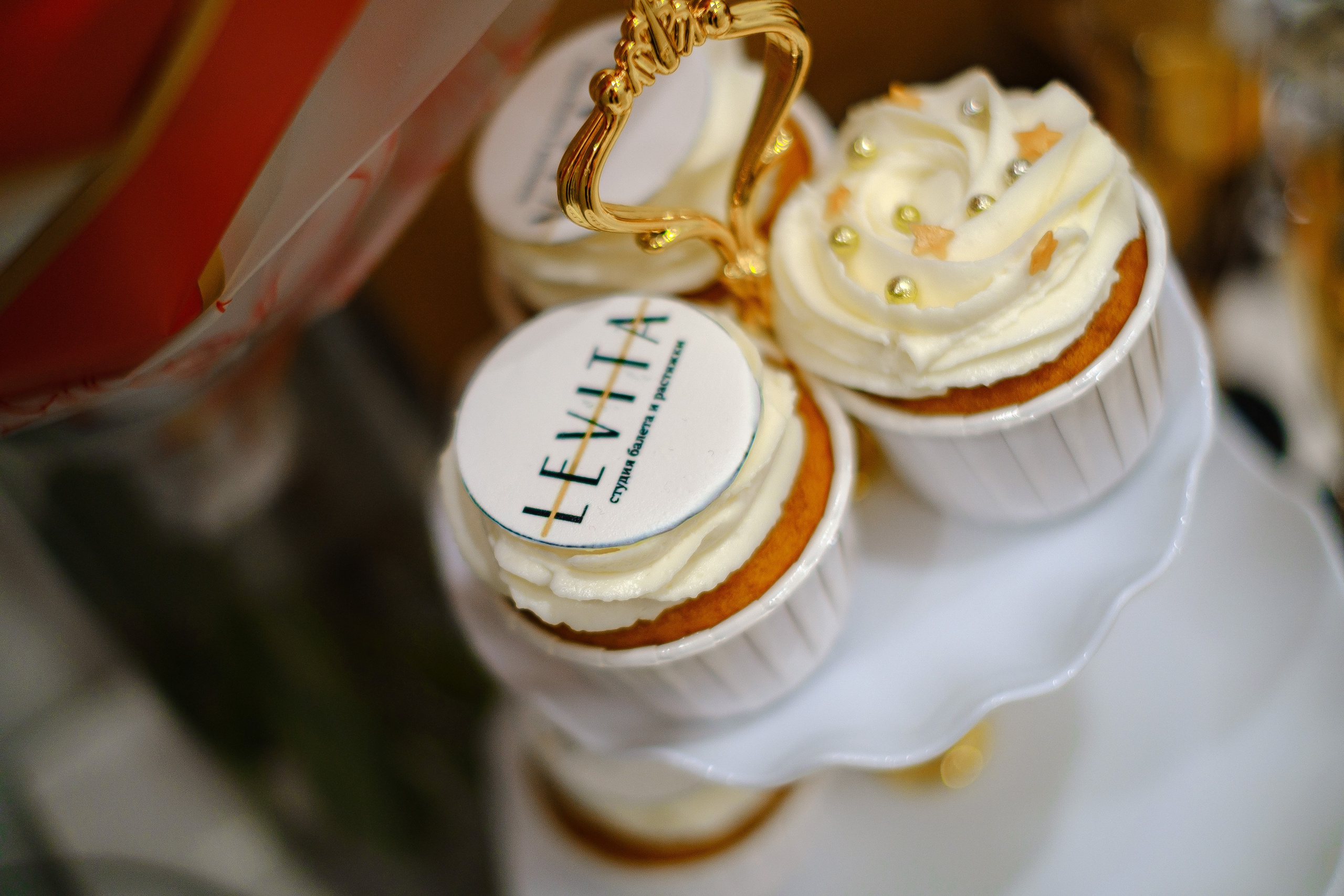 «LEVITA» Петергоф. Фотограф Мария Хлебникова Санкт-Петербург Москва