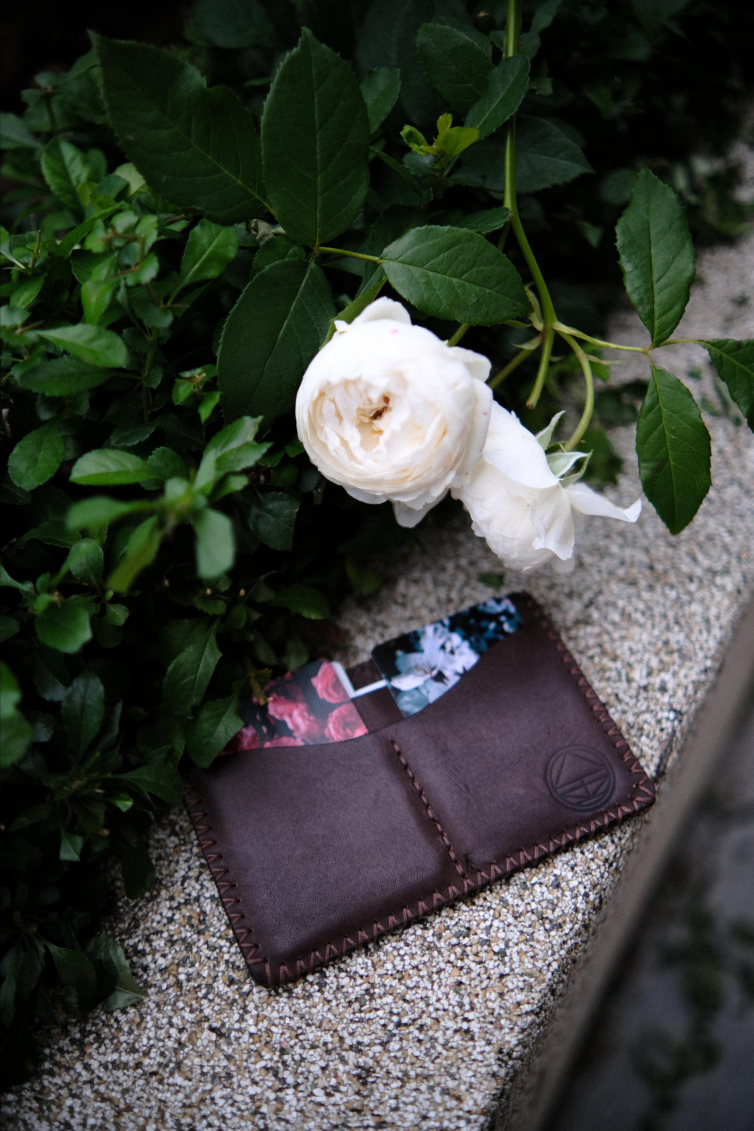 Докхолдеры. KIMESTHETICA