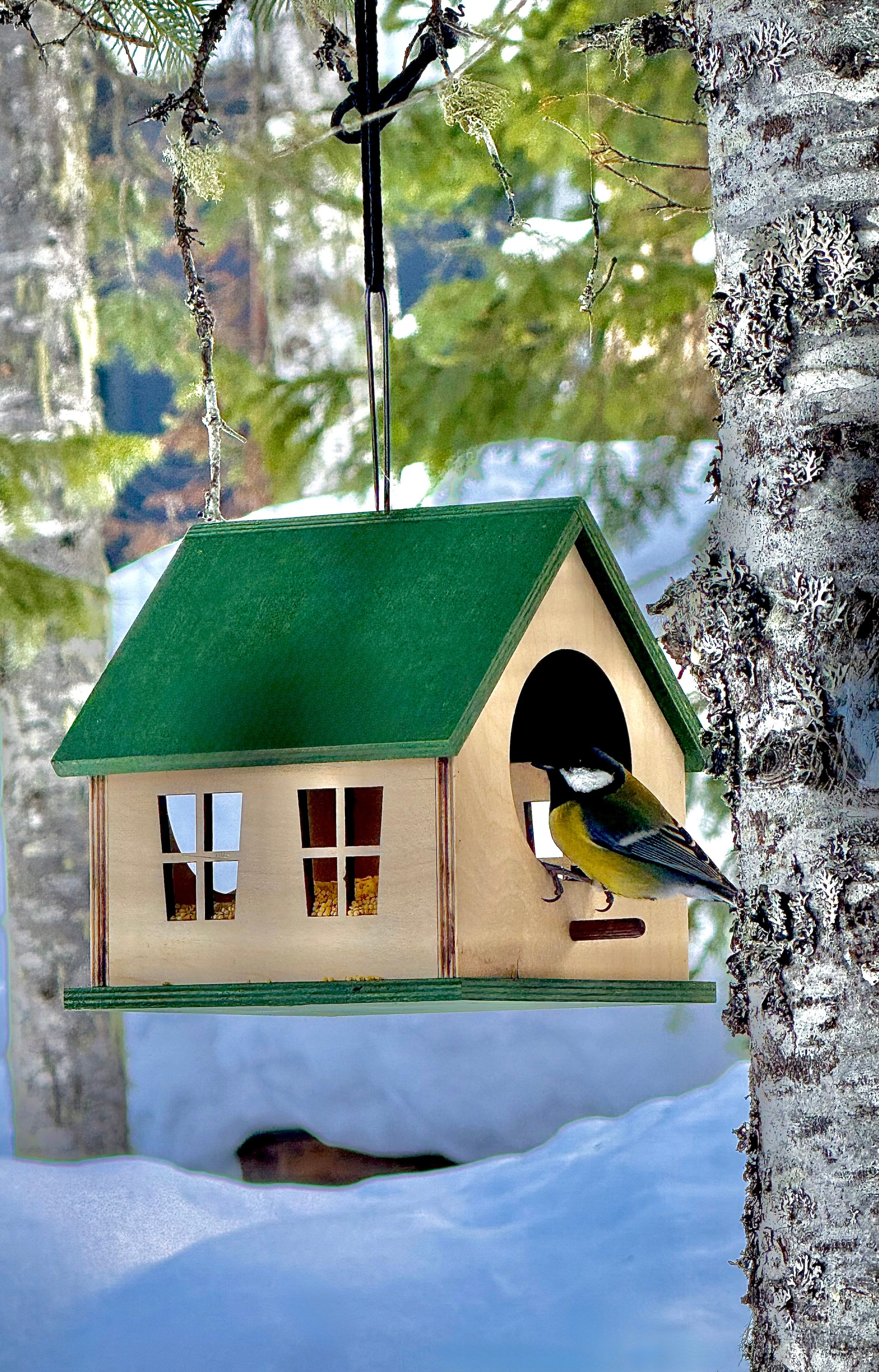 Фотограф Москва. Фотограф и художник в Москве Евгения Нюнина