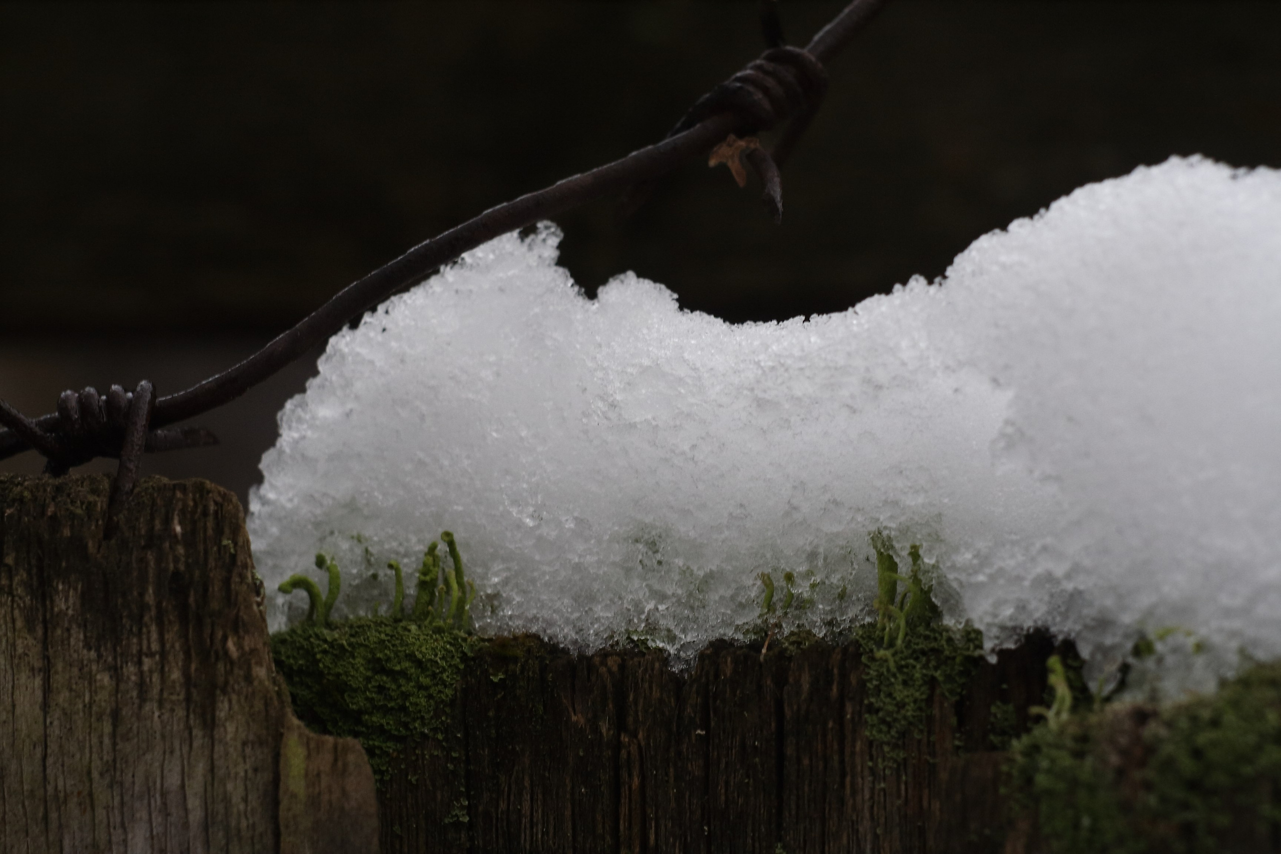 Старое природное, отбирала Katamount (Катерина Горохова). Главная