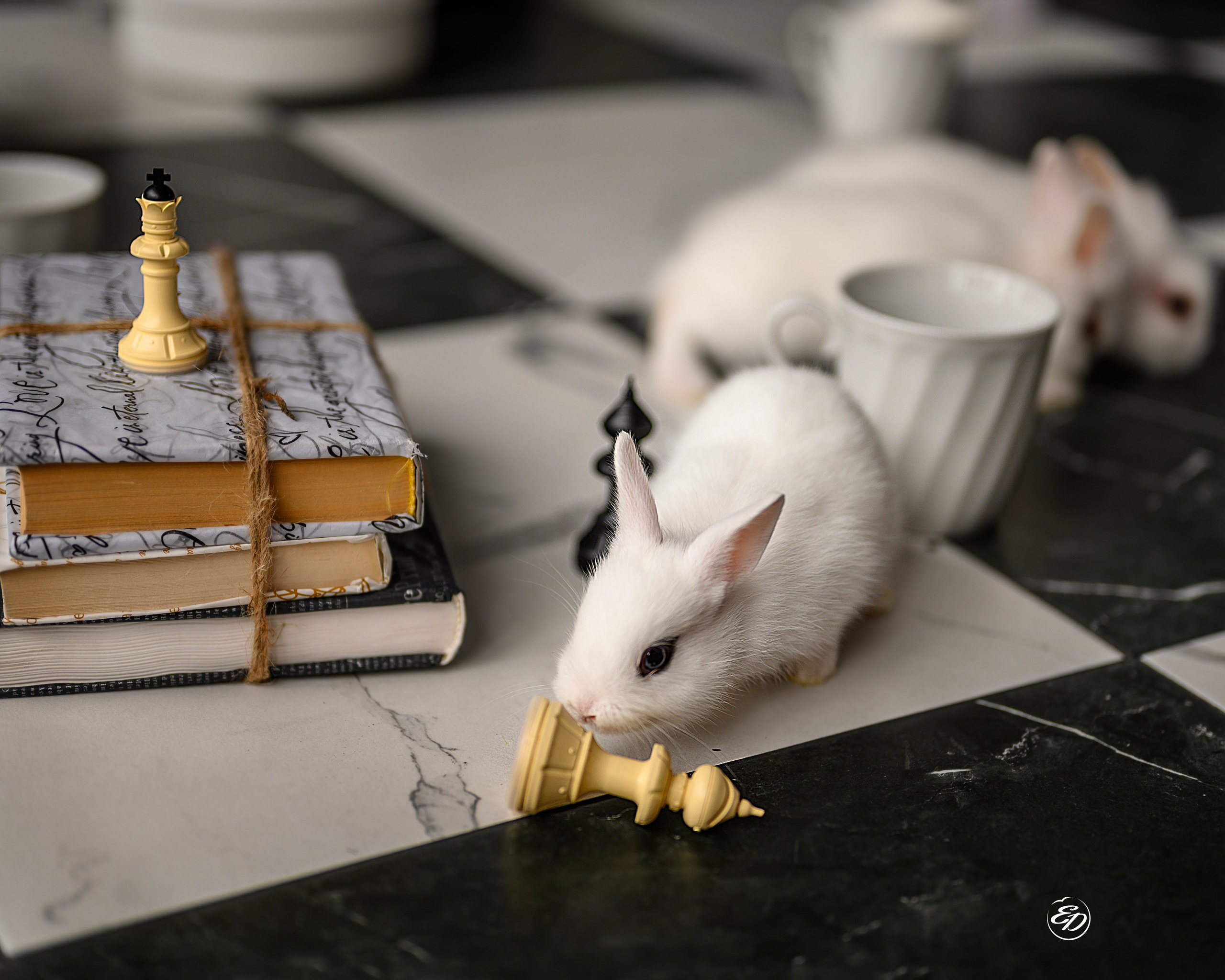 СЪЕМКА  СЕМЕЙНАЯ. Фотосессии в Москве и Калининграде