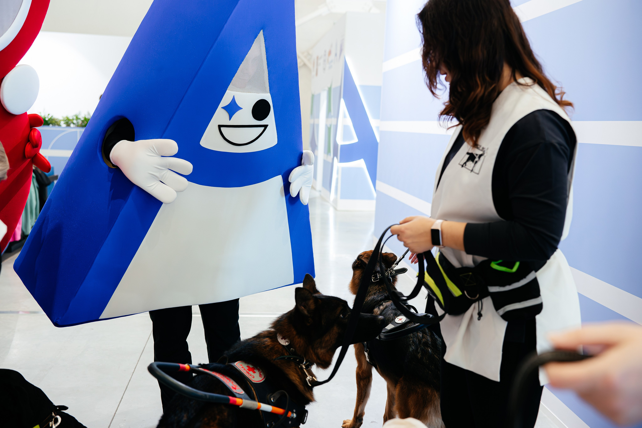 Абилимпикс 2025. Коммерческий фотограф в Санкт-Петербурге Анна Кобзарь