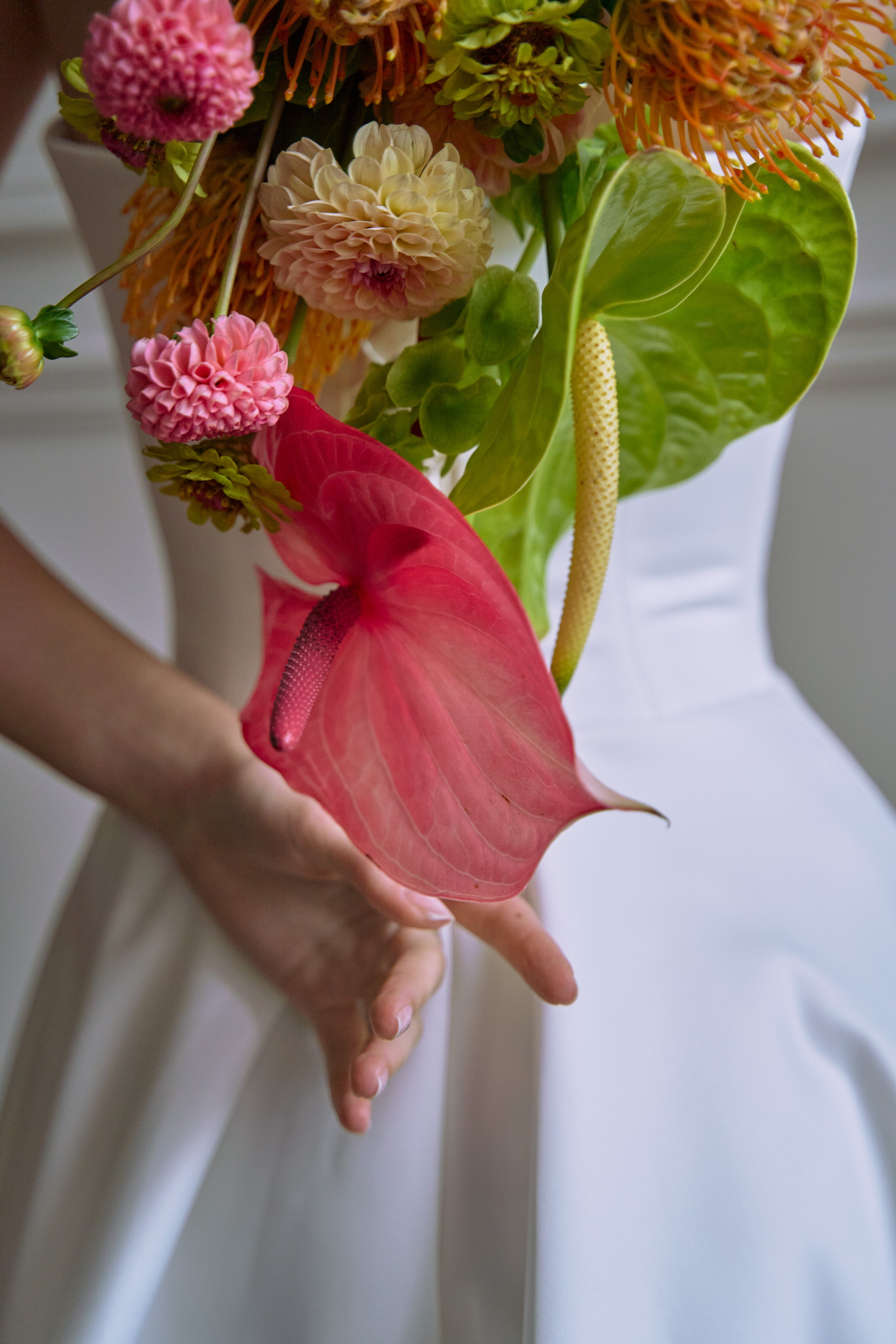 Михаил и Софья. Главная