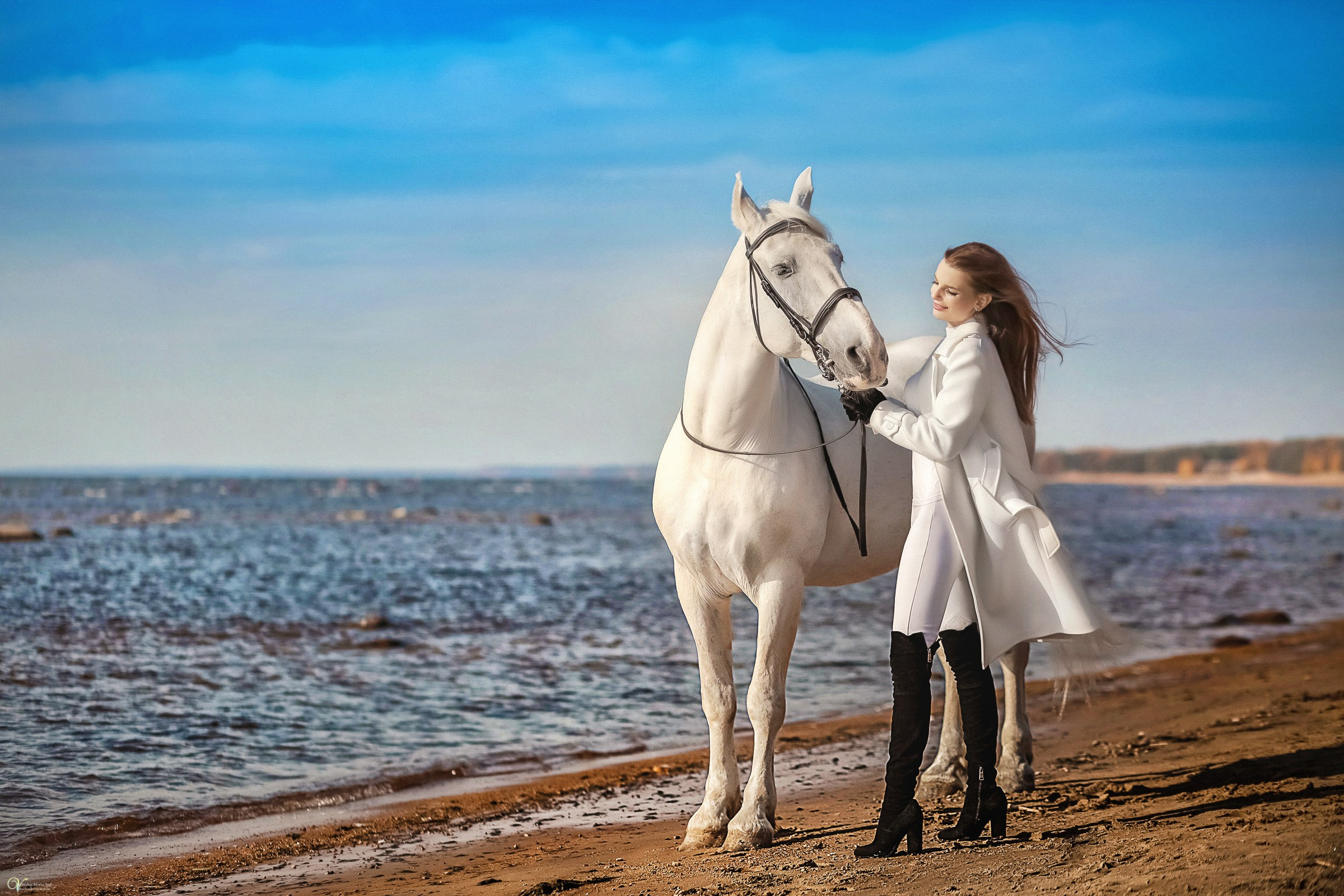 Фотосессии с лошадьми осенью. Фотограф женский и мужской портрет Санкт-Петербург