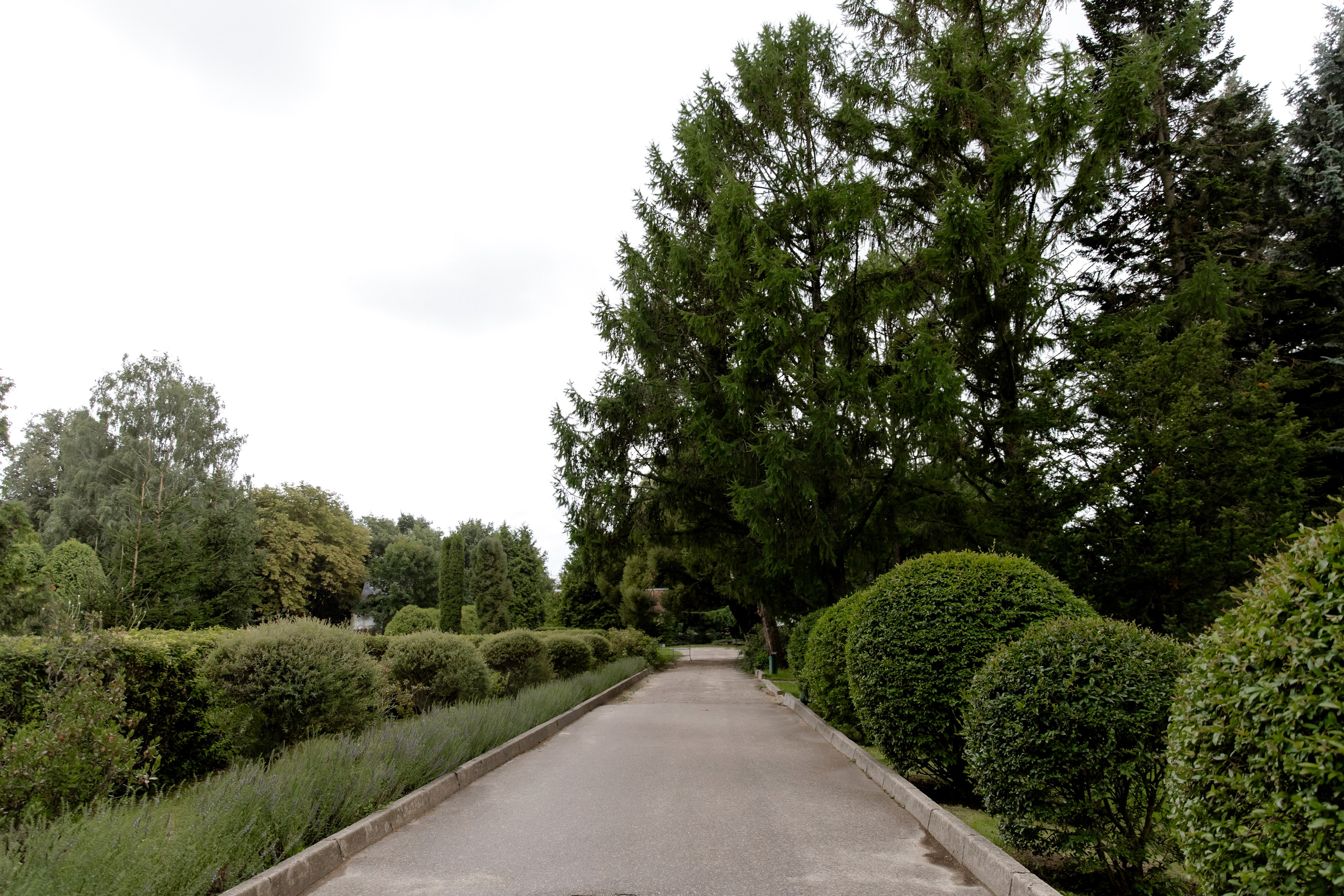 Свадебный день Влада и Вики. Свадебный фотограф Анна Бабахина