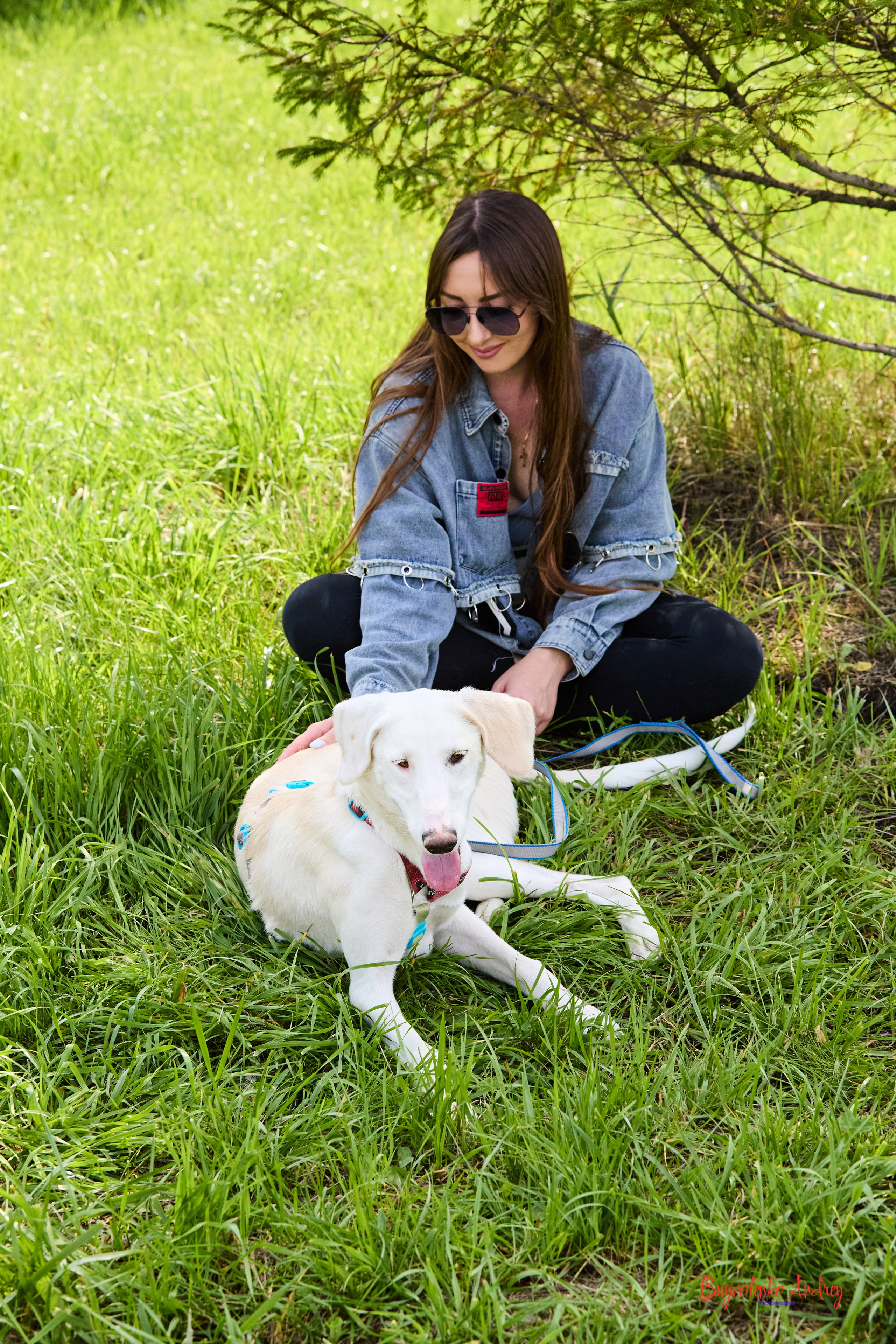 Проект фотопрогулка с хвостиком. Buyvolenko Andrey