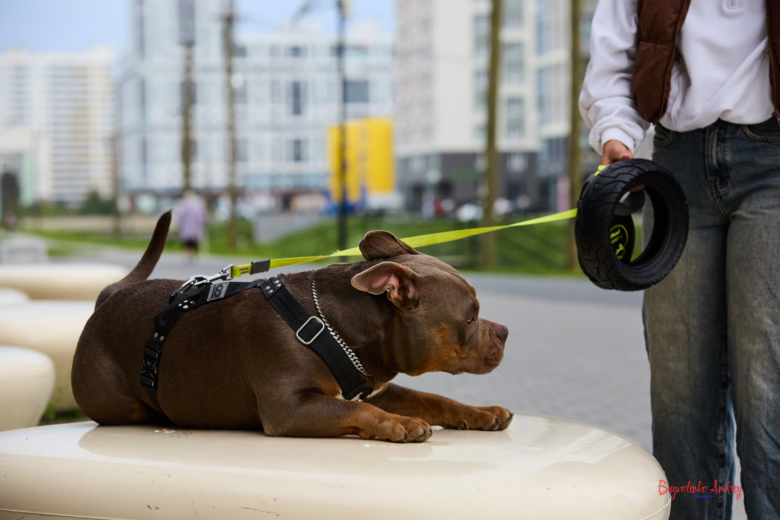 Проект фотопрогулка с хвостиком. Buyvolenko Andrey