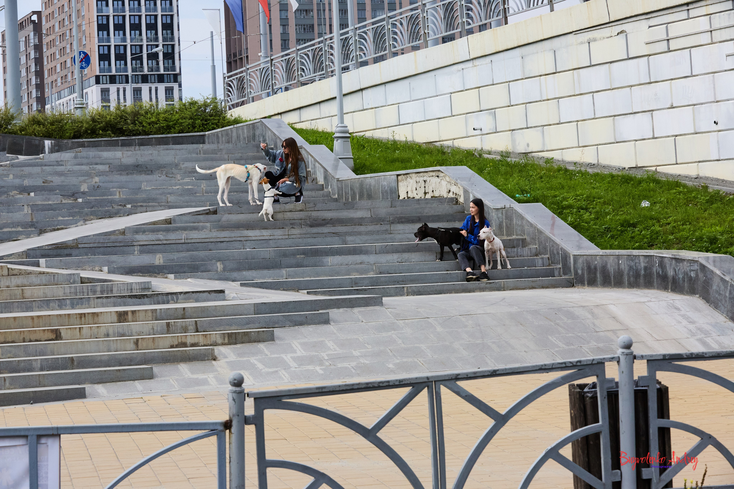 Проект фотопрогулка с хвостиком. Buyvolenko Andrey