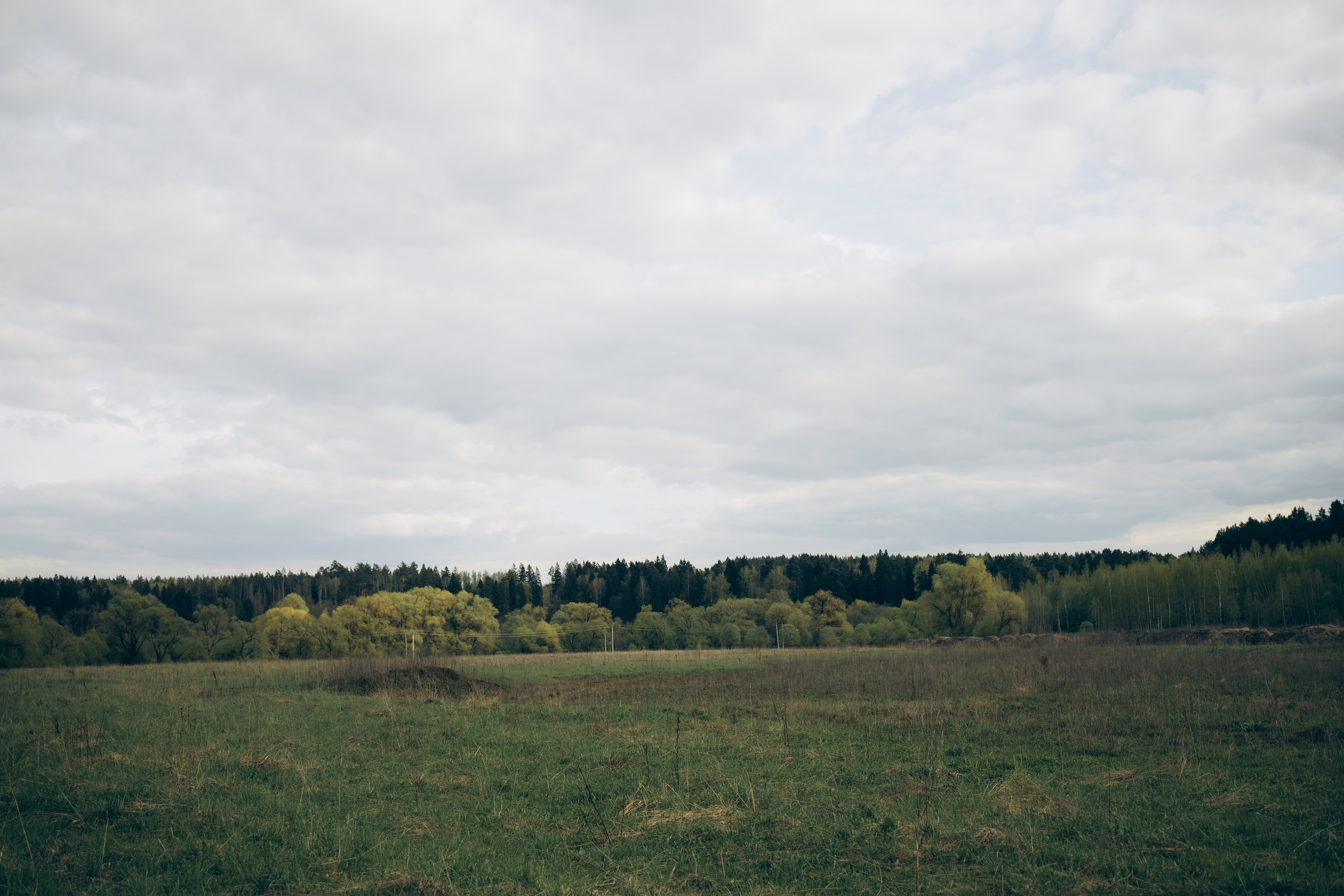 Istra. Женский фотограф Истра