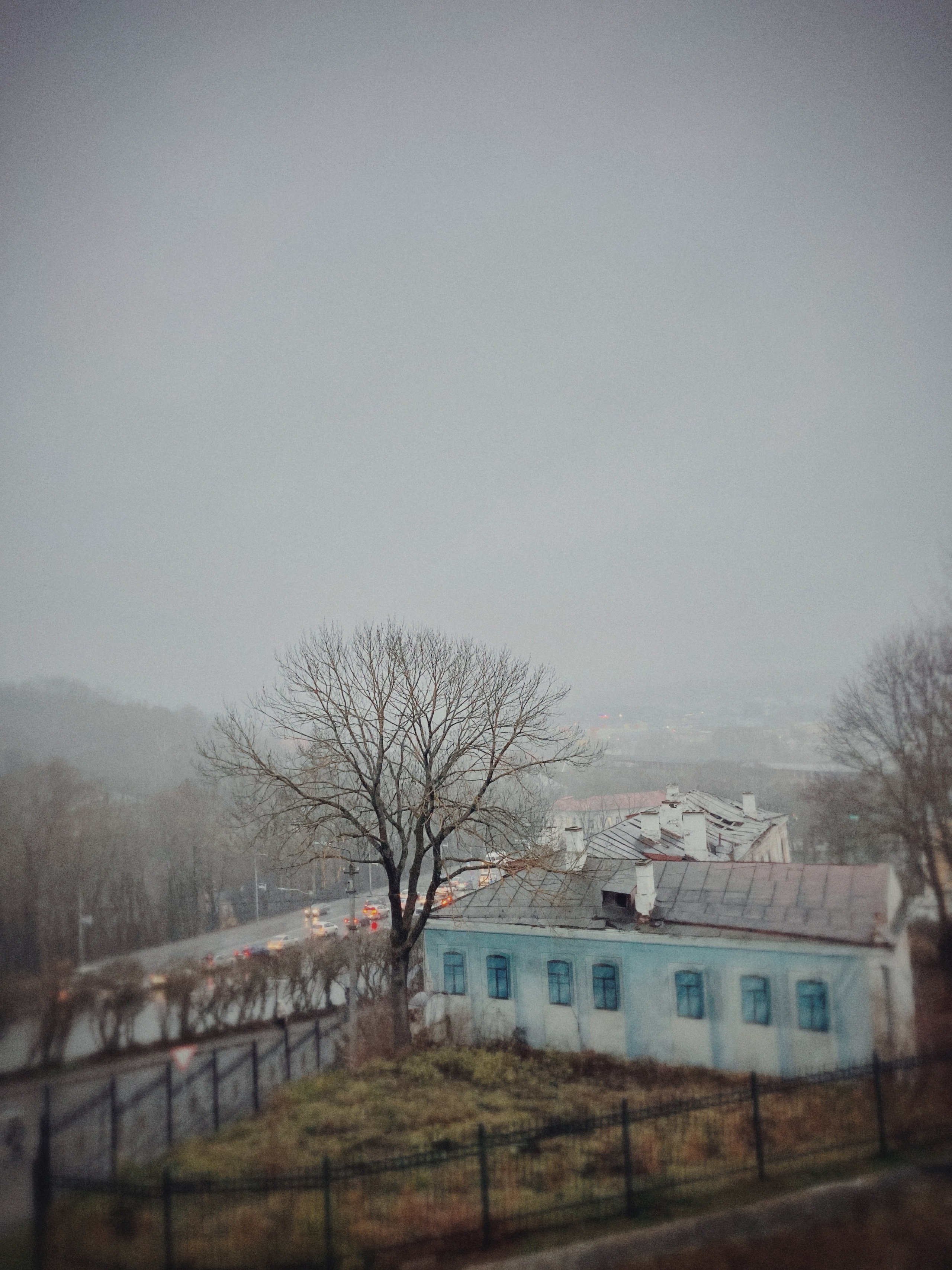 Фотографии. Детский и семейный фотограф Зоя Павкина