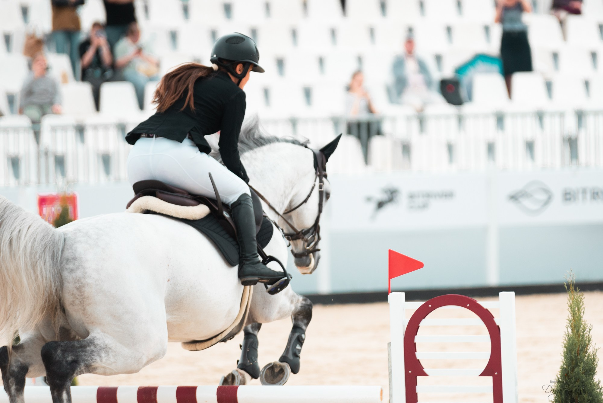 BITRIVER CUP 2023. Конный фотограф Куракина Дарья • Фотосессии с лошадьми