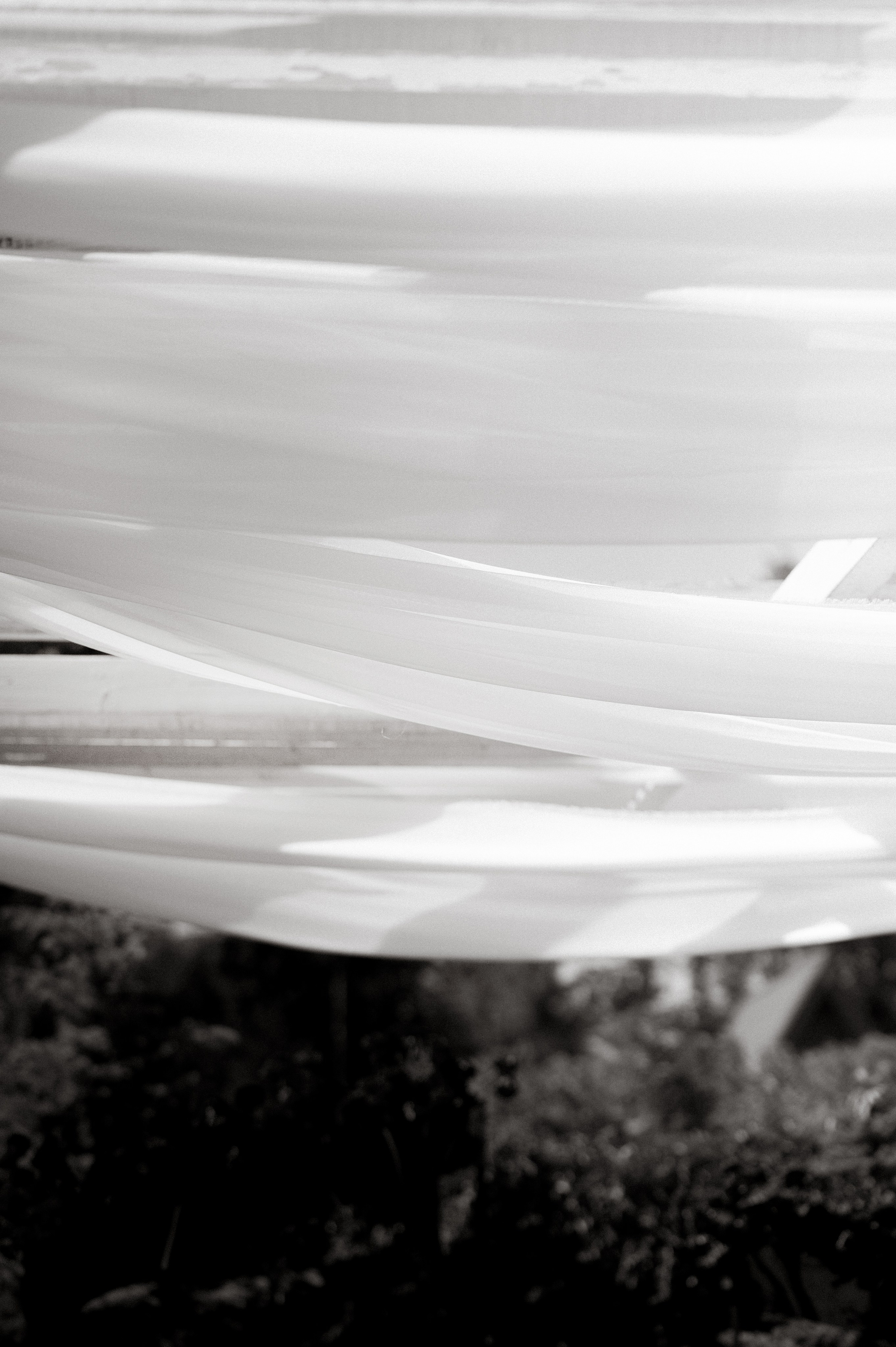 «I ROSE YOU» Нариман и София. Свадебный фотограф и видеограф