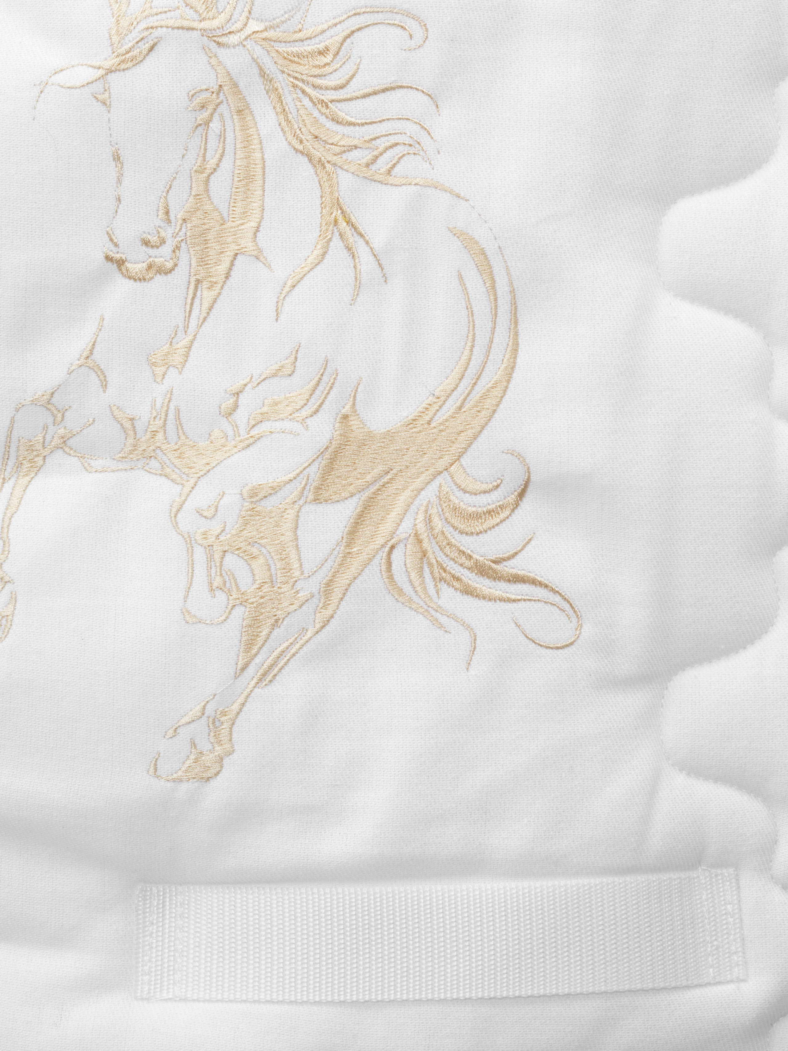 Вальтрап конкурный. Фотограф Анна Апрельская Москва| Moscow Anna Aprelskaya Photographer