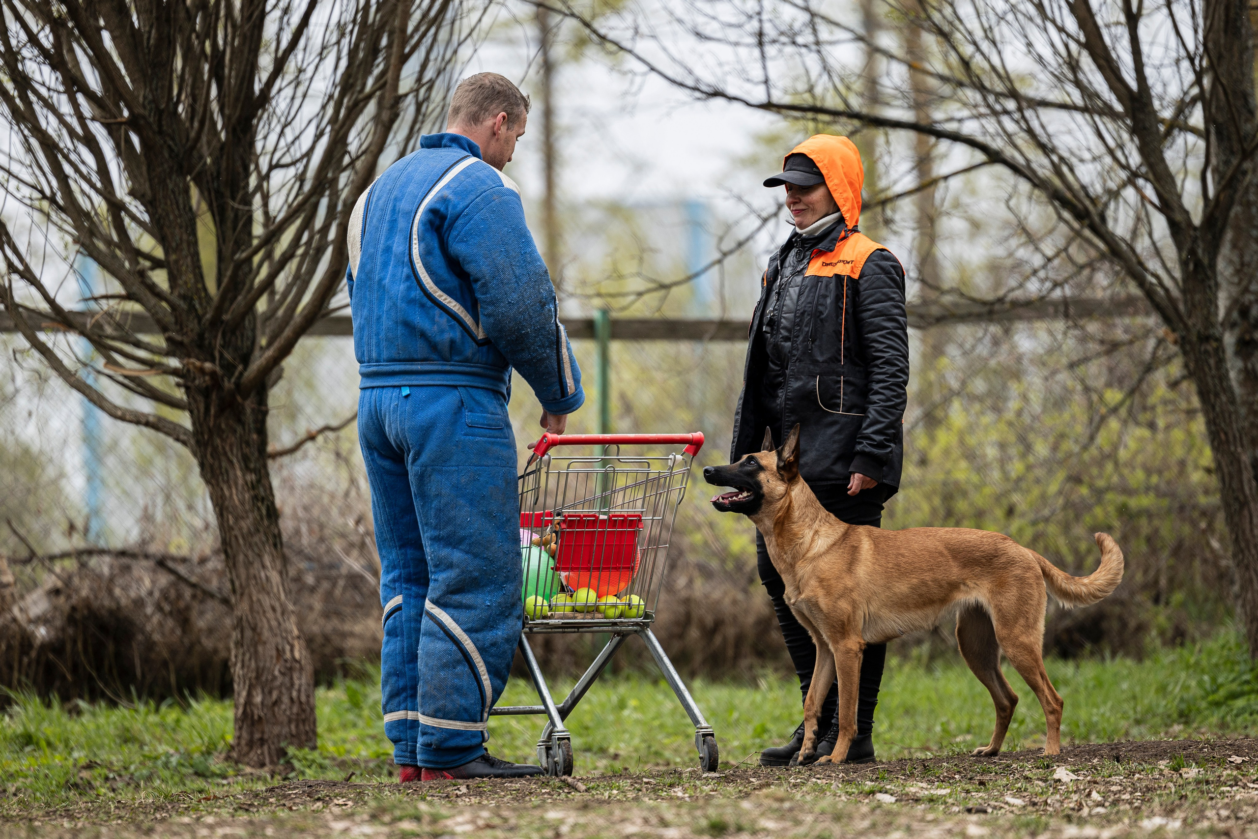 Квалификационные состязания по мондьорингу г. Вологда 11.05.24. Фотограф-анималист Анна Маринич