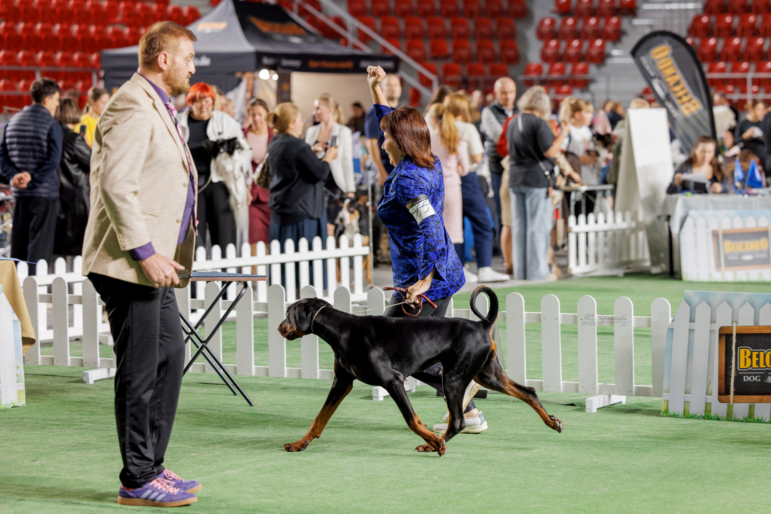 Телави 11-12.10.2025. Фотограф-анималист Юлия Германика