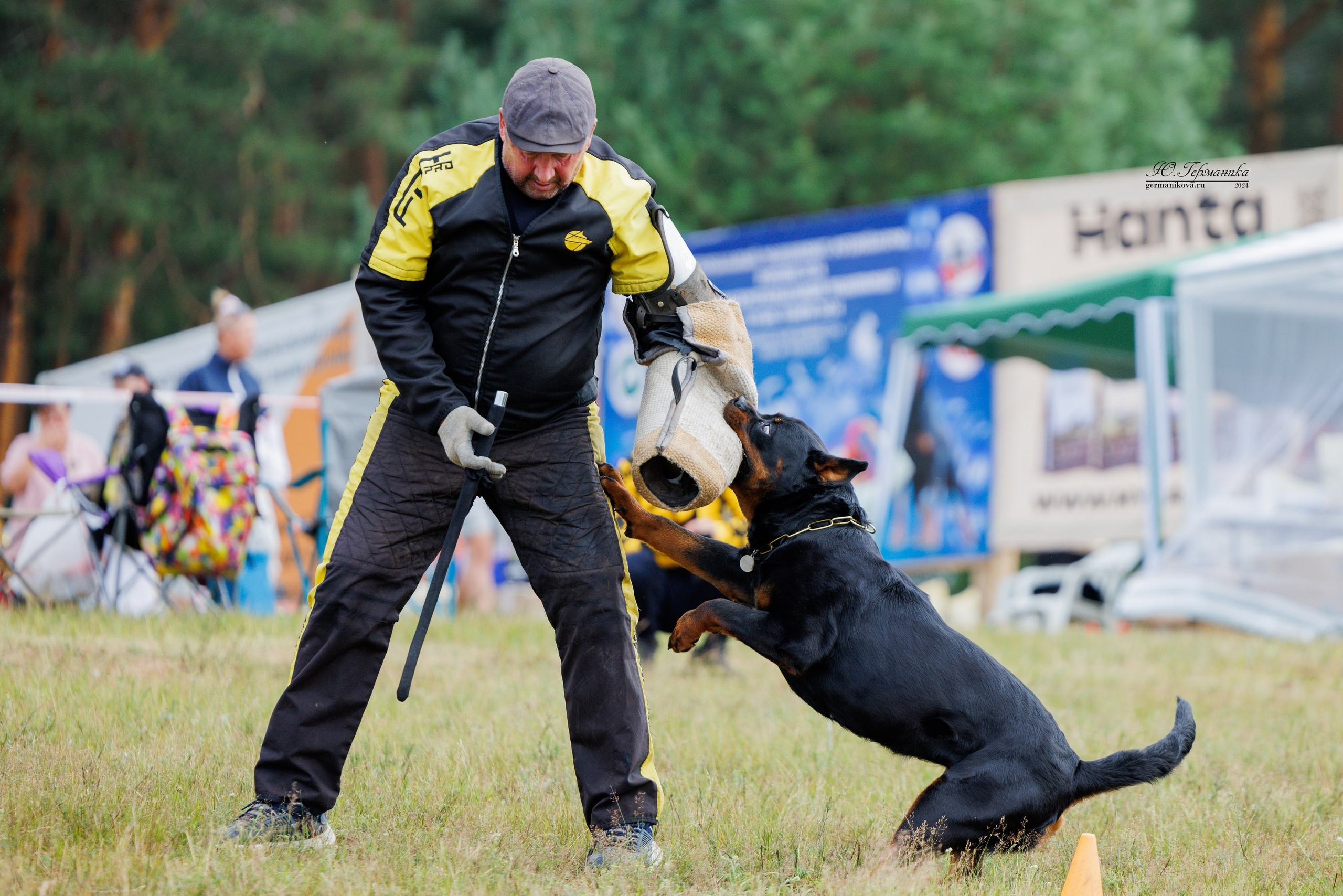 ПК и КЧК ротвейлеры Тверь 6-7.07.2024. Фотограф-анималист Юлия Германика