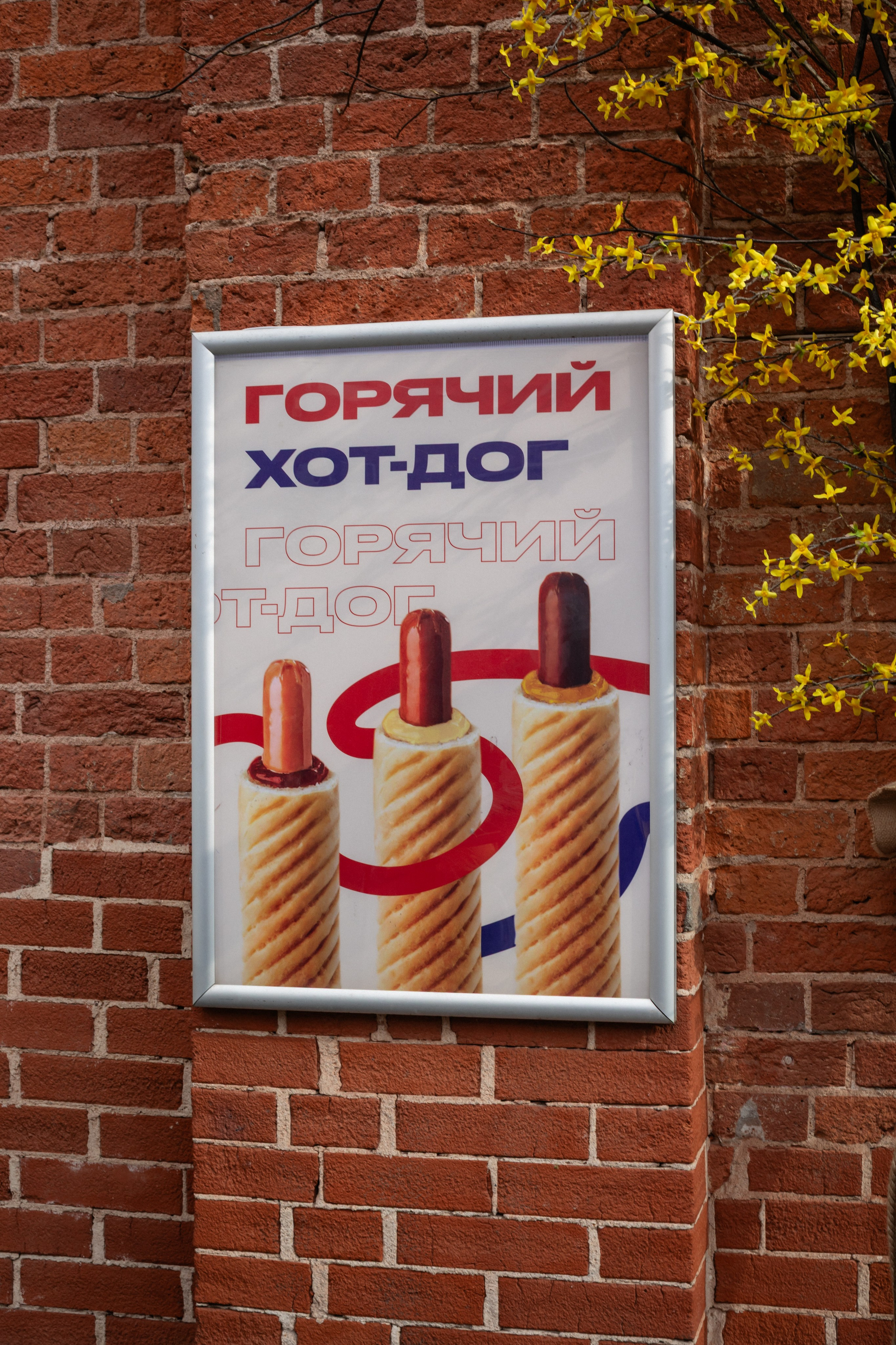 КОФЕ ХАУС & ДОБРО. Фотограф Алина Гашникова