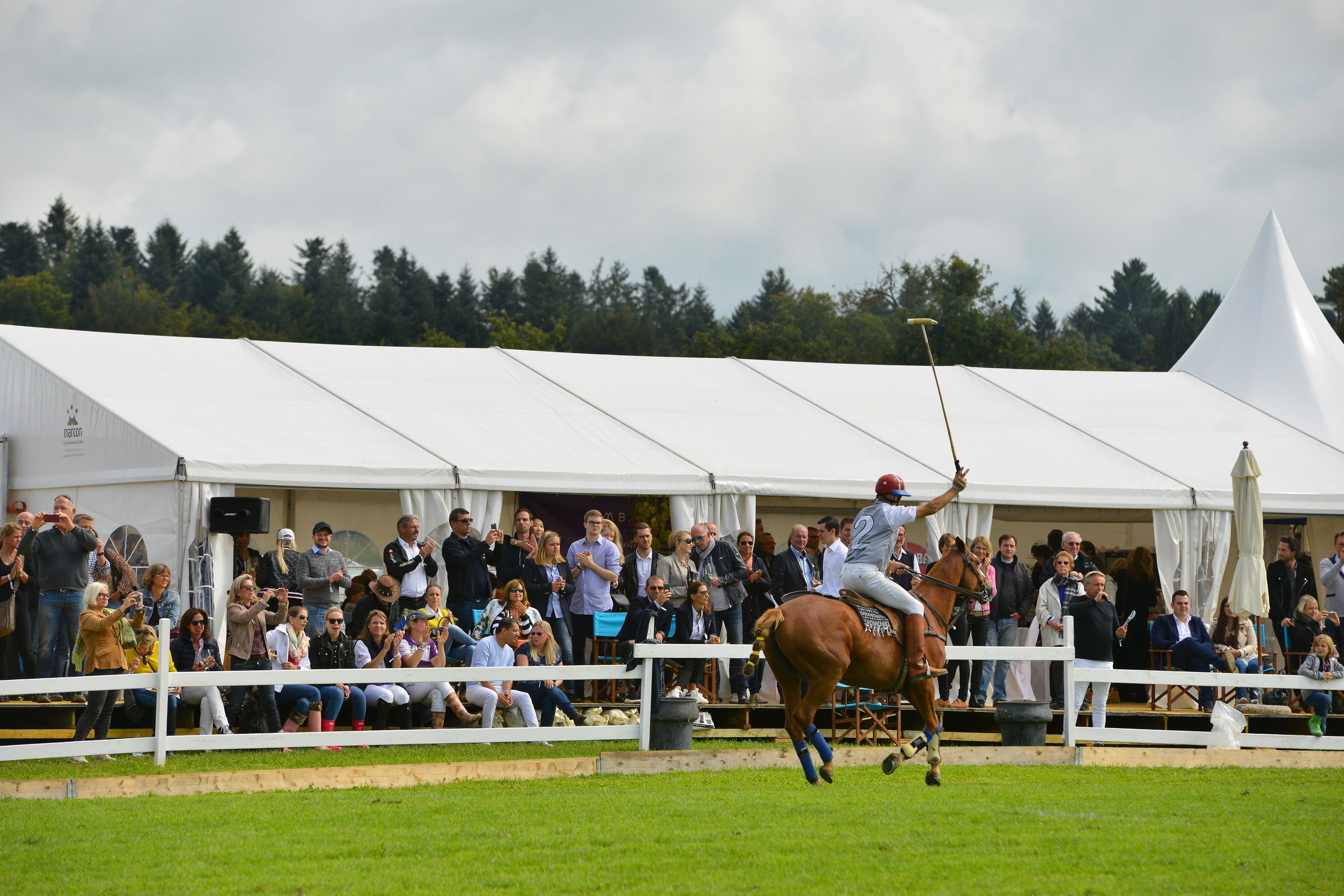 Polo art photos. Art photos of horses — ARTUR BABOEV | Photographer