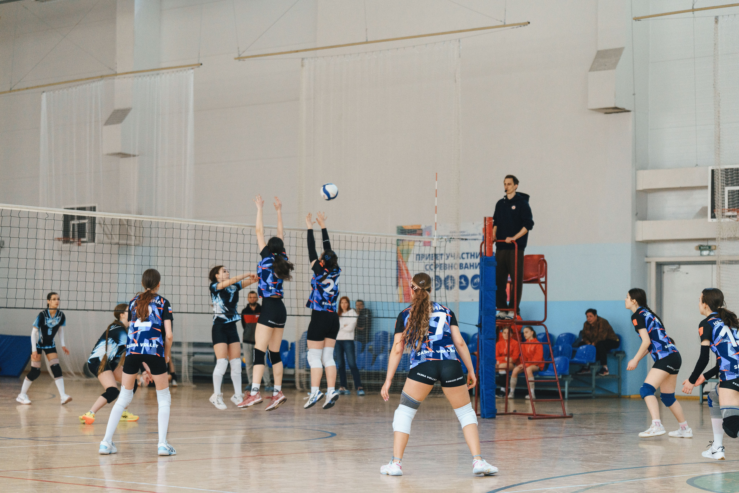 Волейбол торус. Фотограф-анималист в Санкт-Петербурге