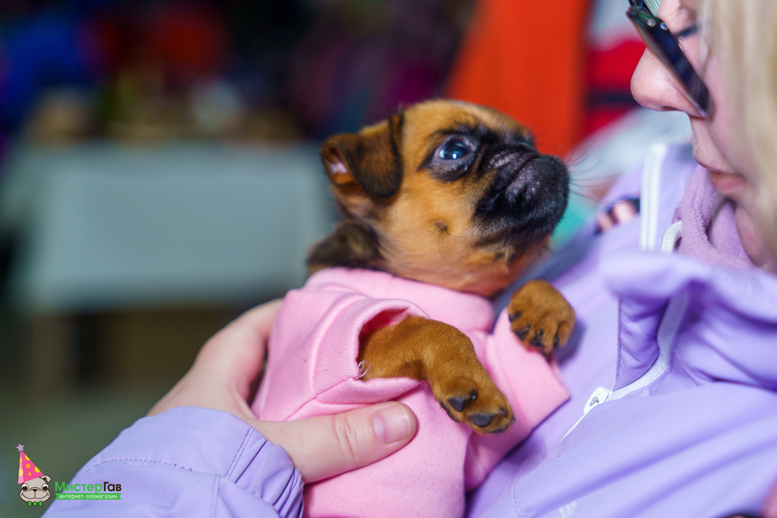 Мистер Гав -13 лет!. Фотограф Челябинск · Ольга Серебрякова