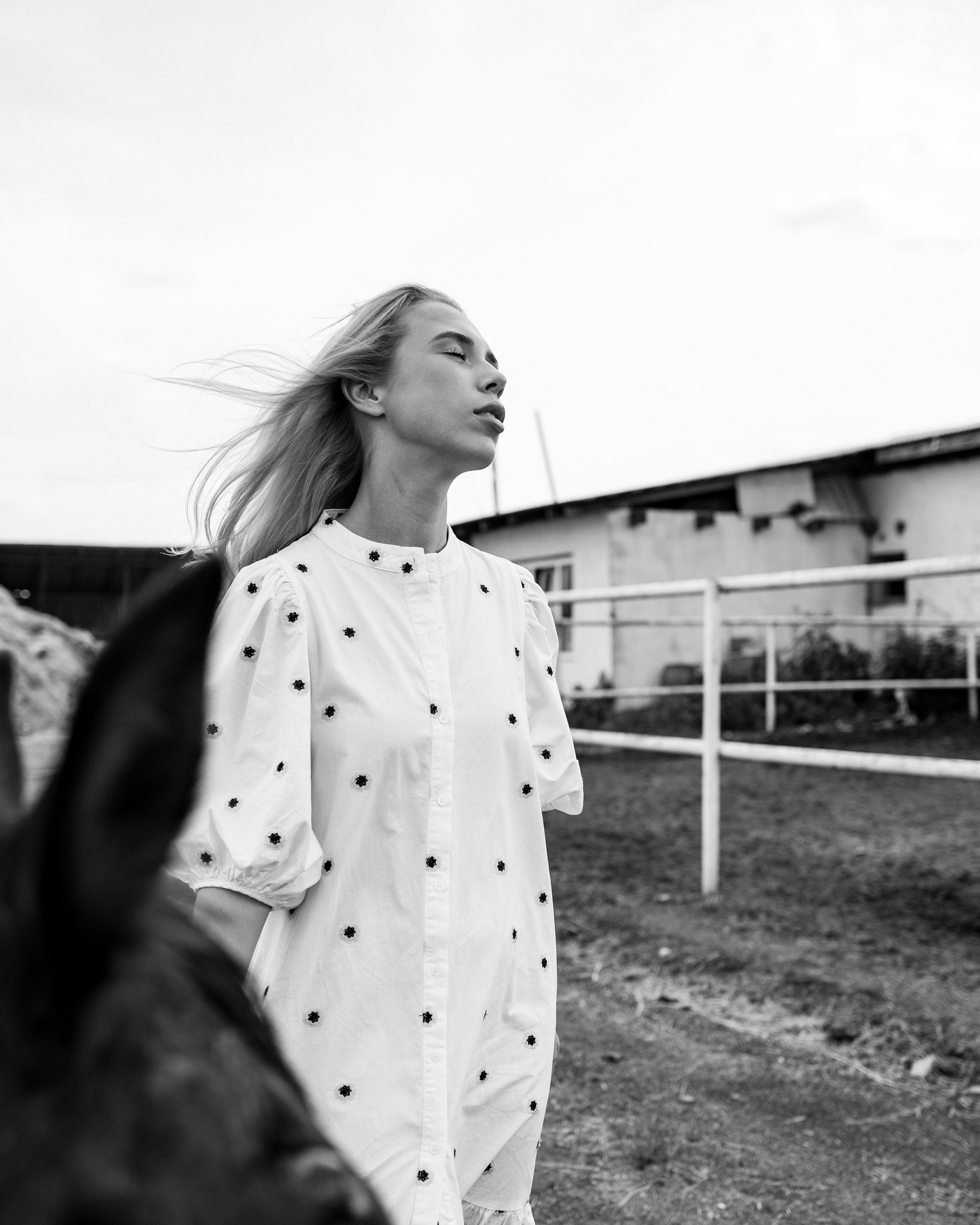 По коням — lovestory. Фотограф Андрей Куськало