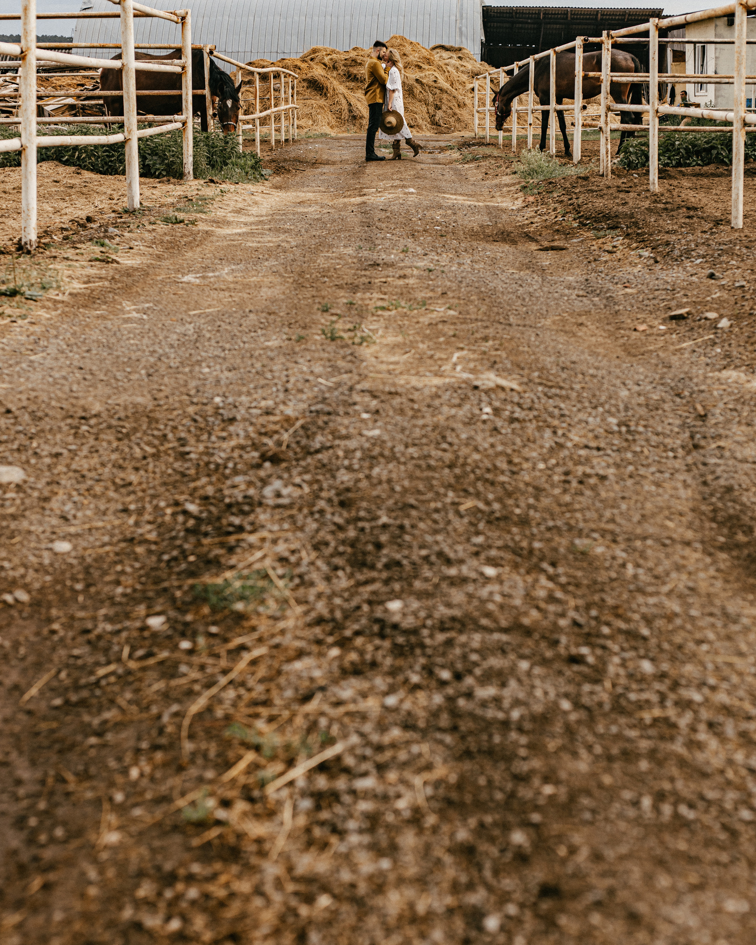 По коням — lovestory. Фотограф Андрей Куськало