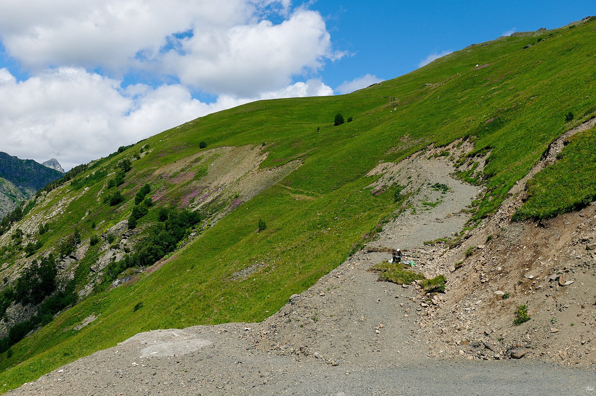 Домбай август 2024. Фотографии отовсюду и обо всем