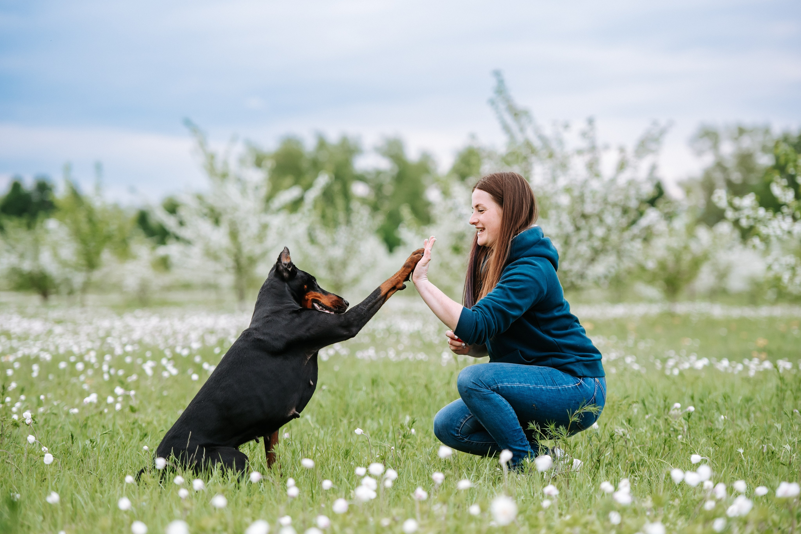 Цветение с доберманами. Фотограф Диана Оленина Красноярск / Братск
