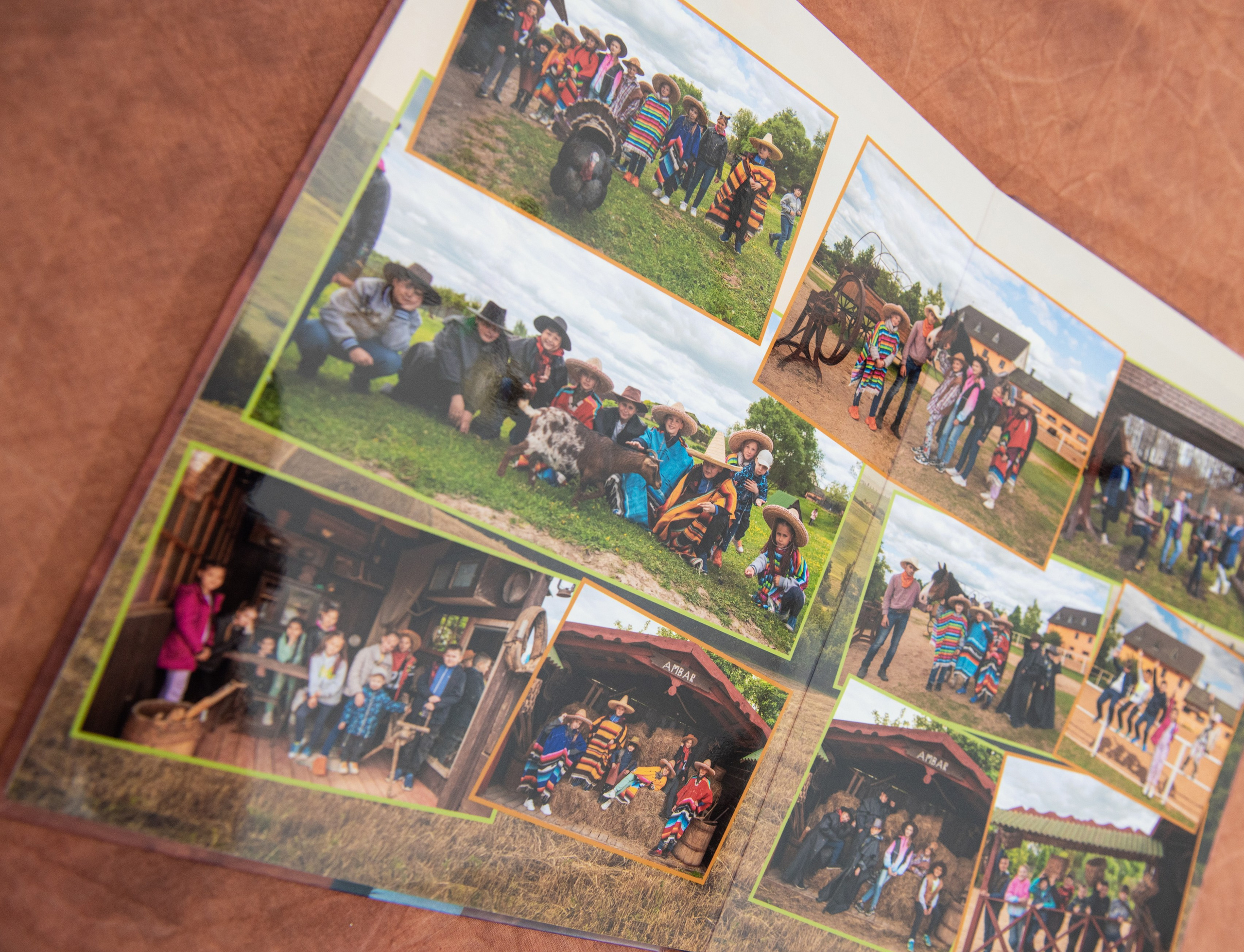 Коричневый. Фотограф Гончарова Анна г. Можайск