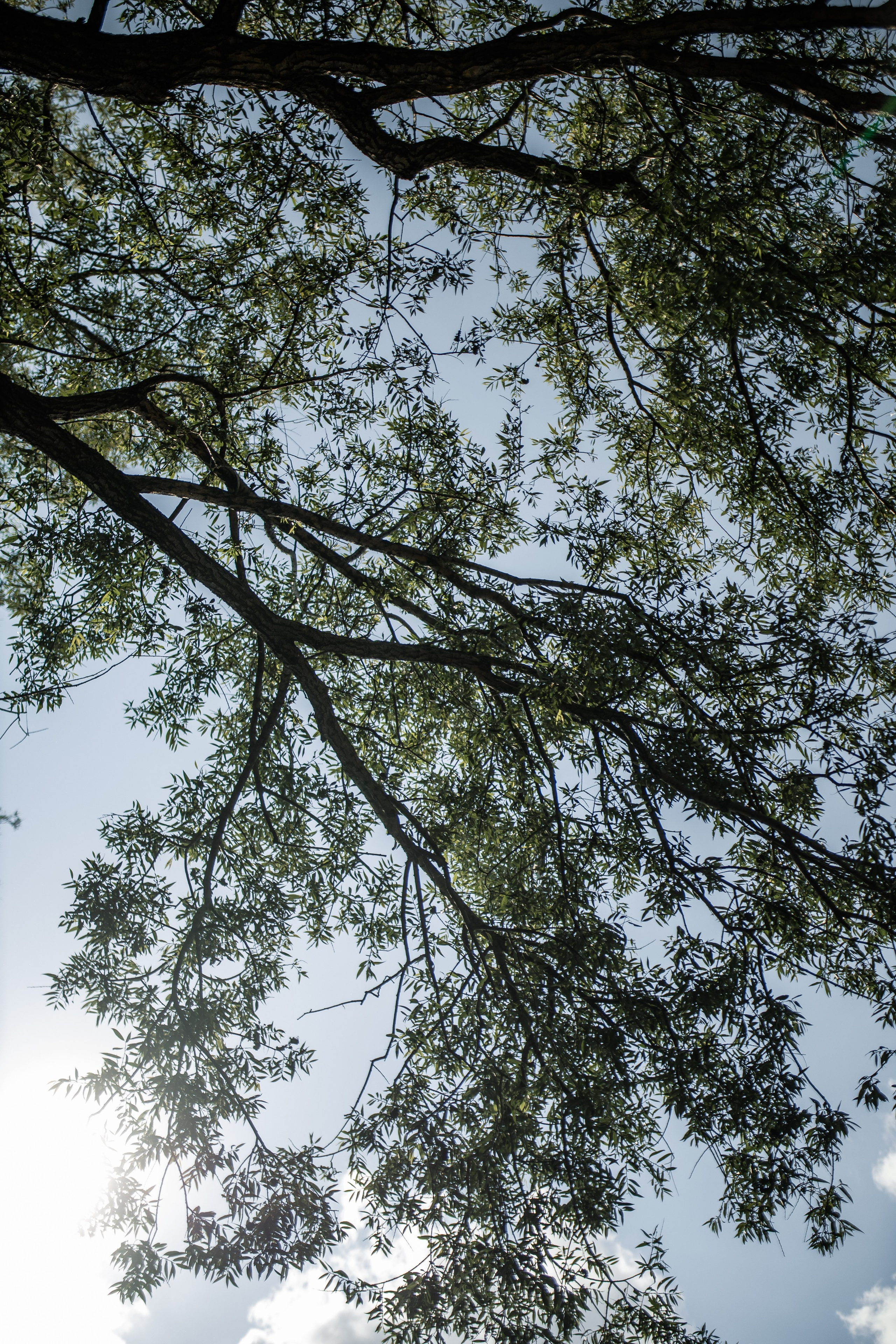 Михаил и Ангелина. Свадебный Фотограф Уфа | Никах