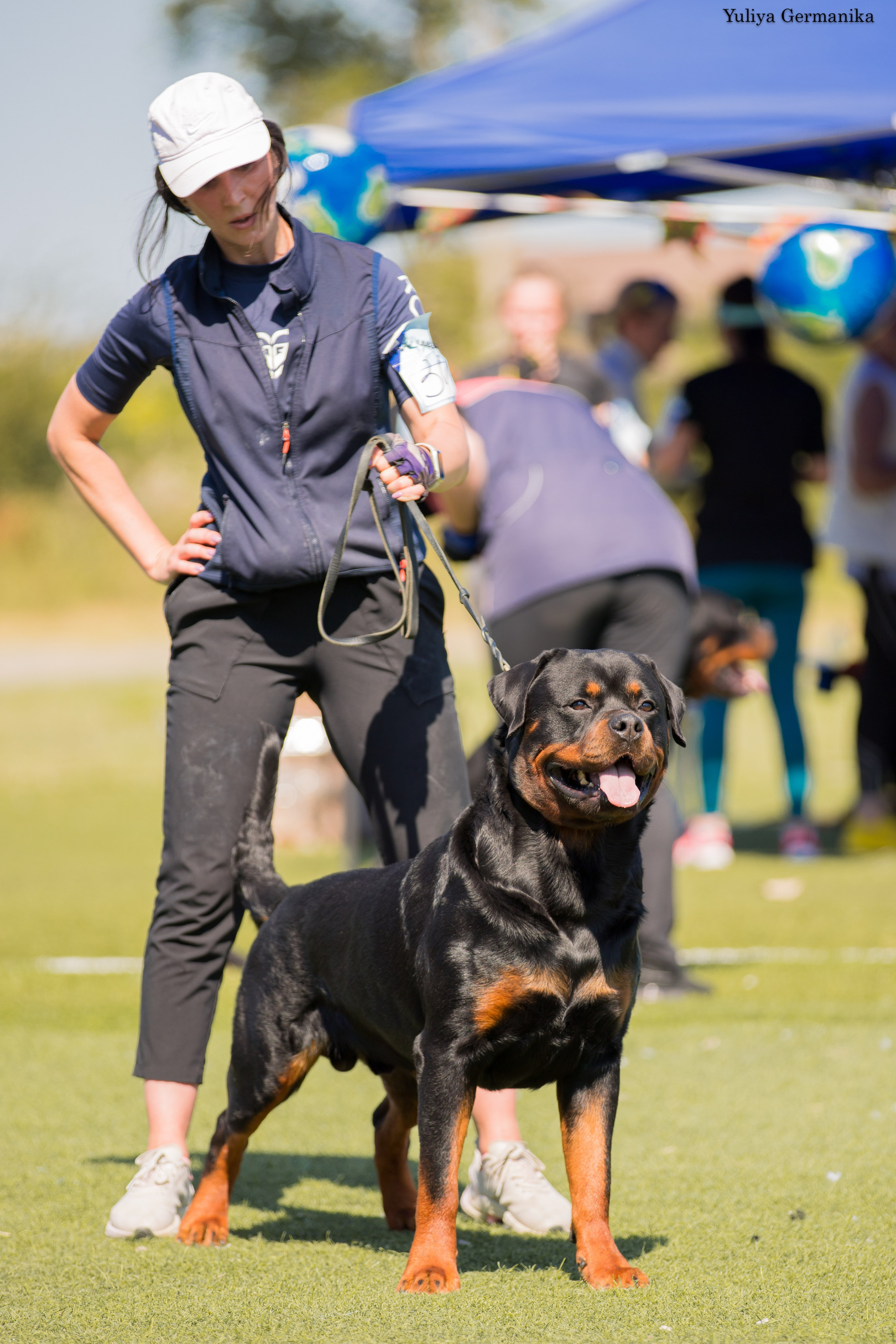 Анапа 16-17.09.2023 моно ротвейлеров. Фотограф-анималист Юлия Германика