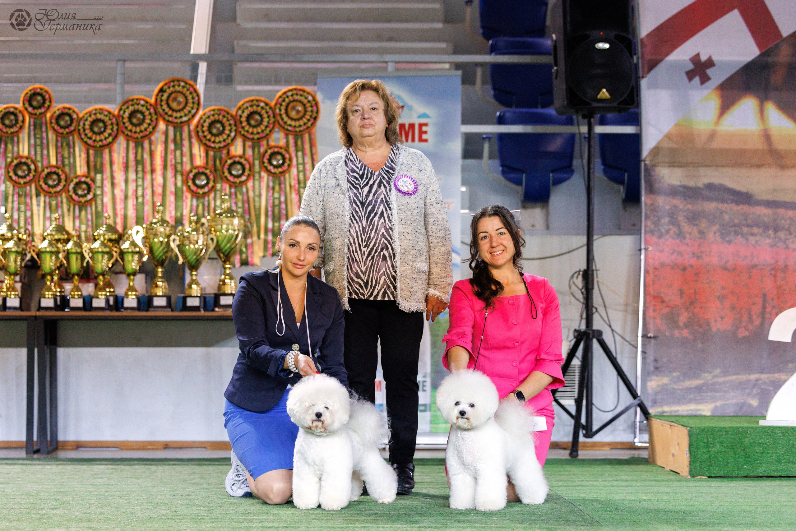 Грузия,Телави 2хCACIB 19-20.10.2024. Фотограф-анималист Юлия Германика