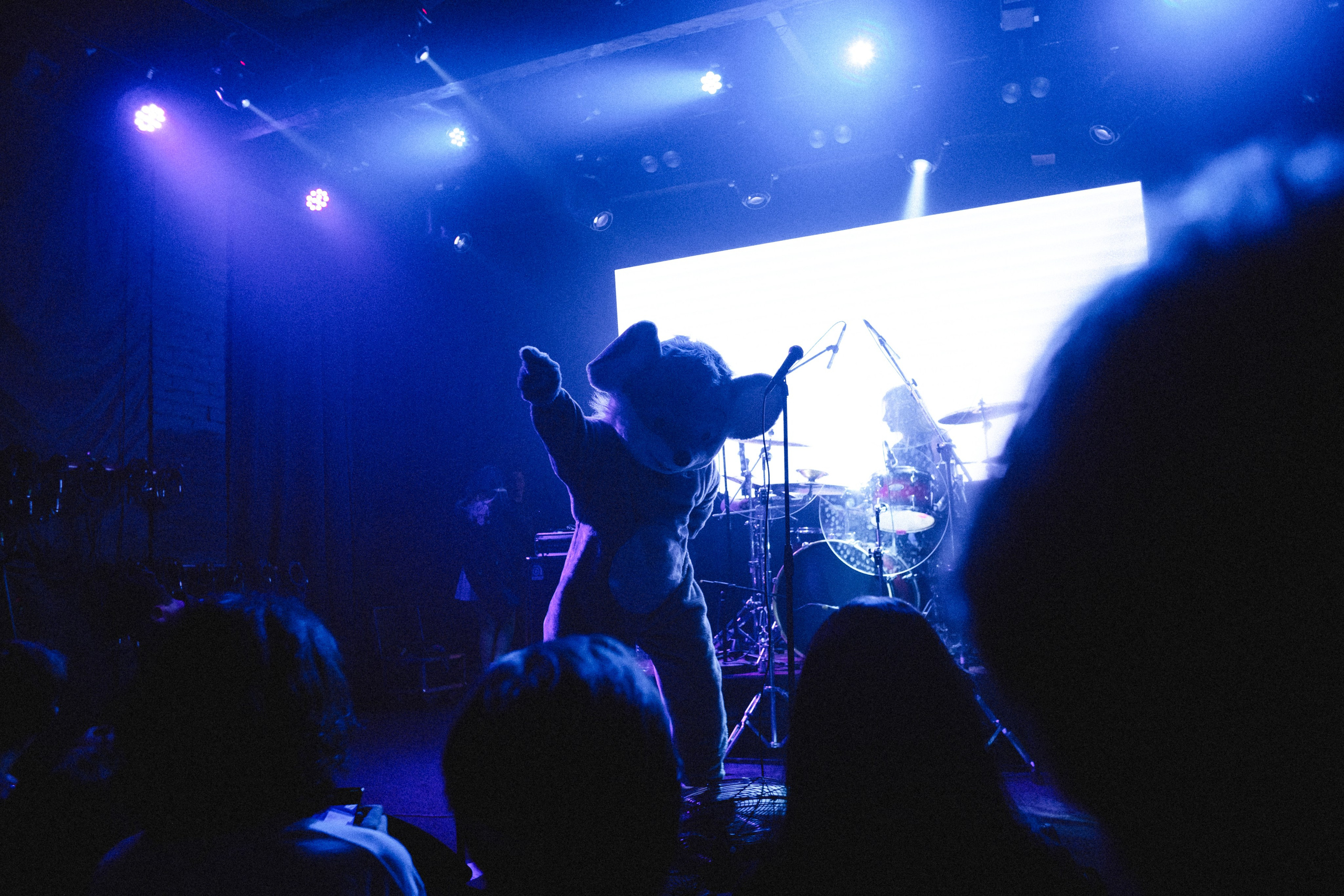 Ravdina|Сердце. Концертный фотограф в Санкт-Петербурге