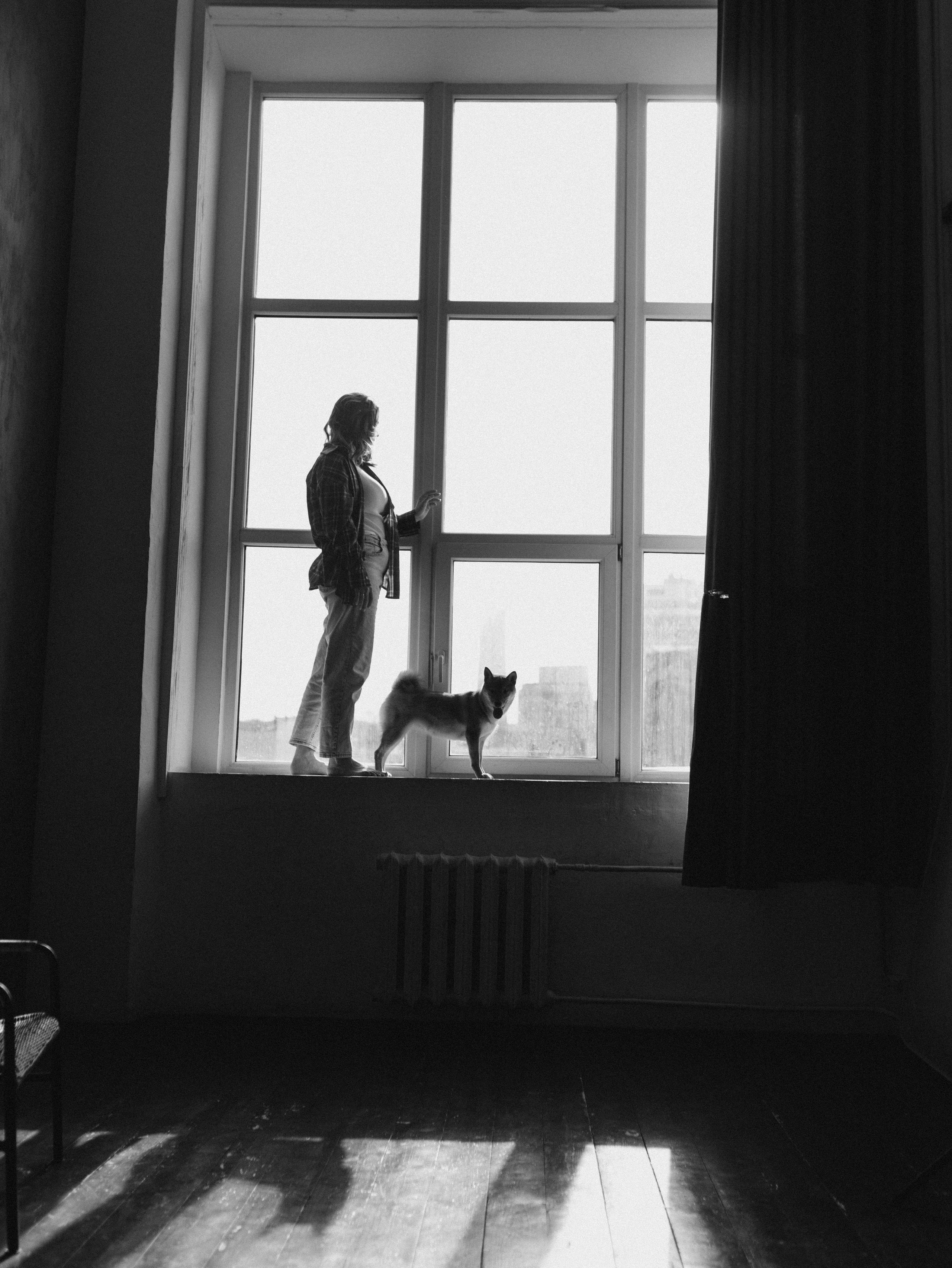 Мика и Настя. Фотограф-анималист в Москве Кириллова Татьяна