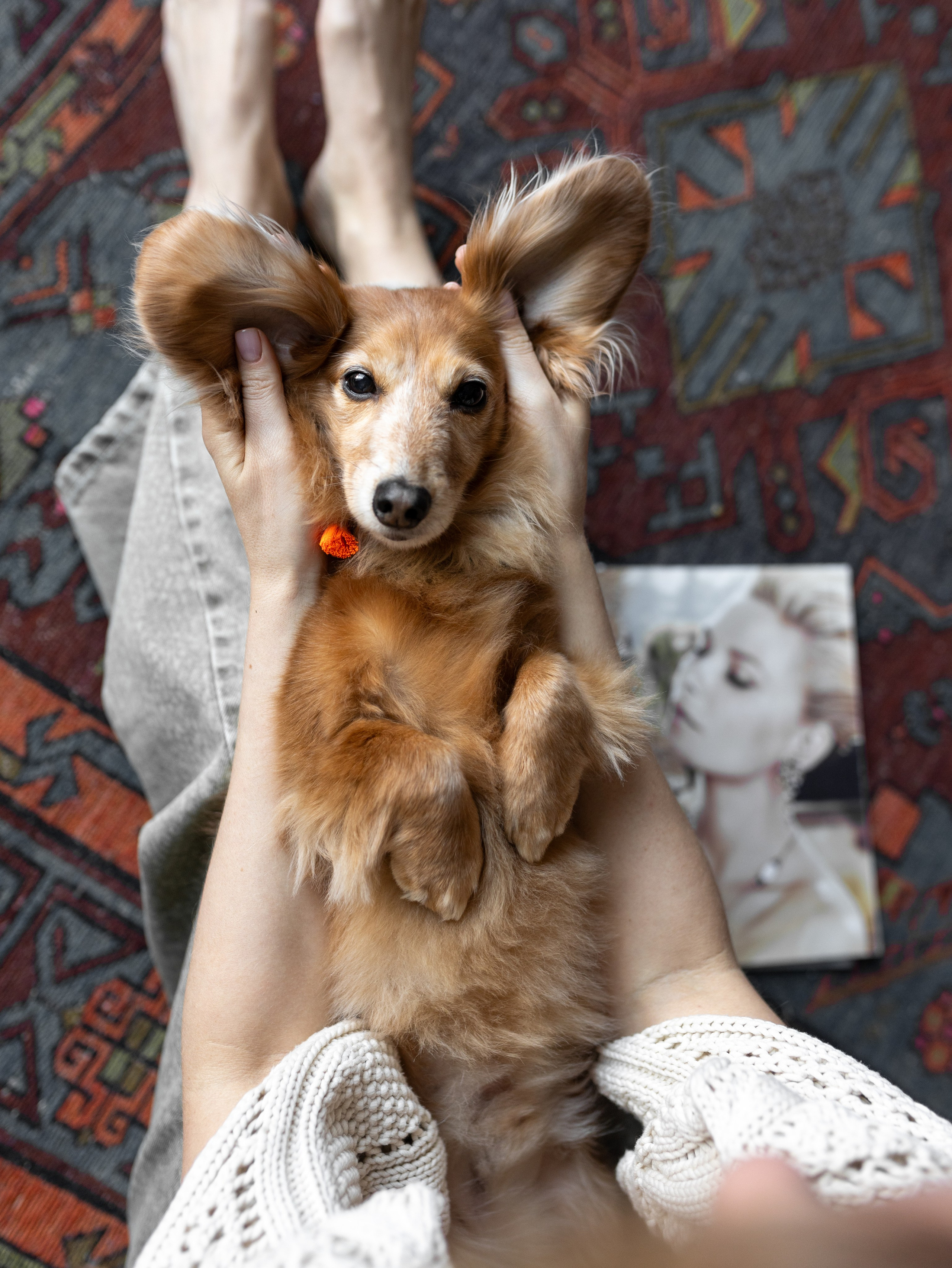 Лимон и Аня. Фотограф-анималист в Москве Кириллова Татьяна