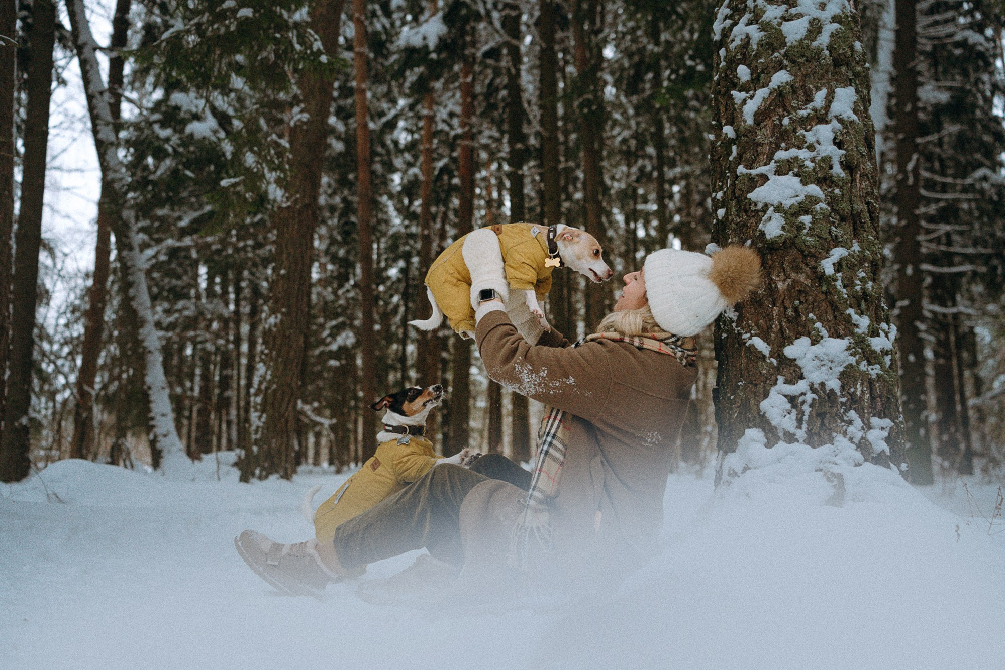 Алина, Ваниль и Элис. Фотограф анималист в Москве и Санкт-Петербурге Свиридова Анна