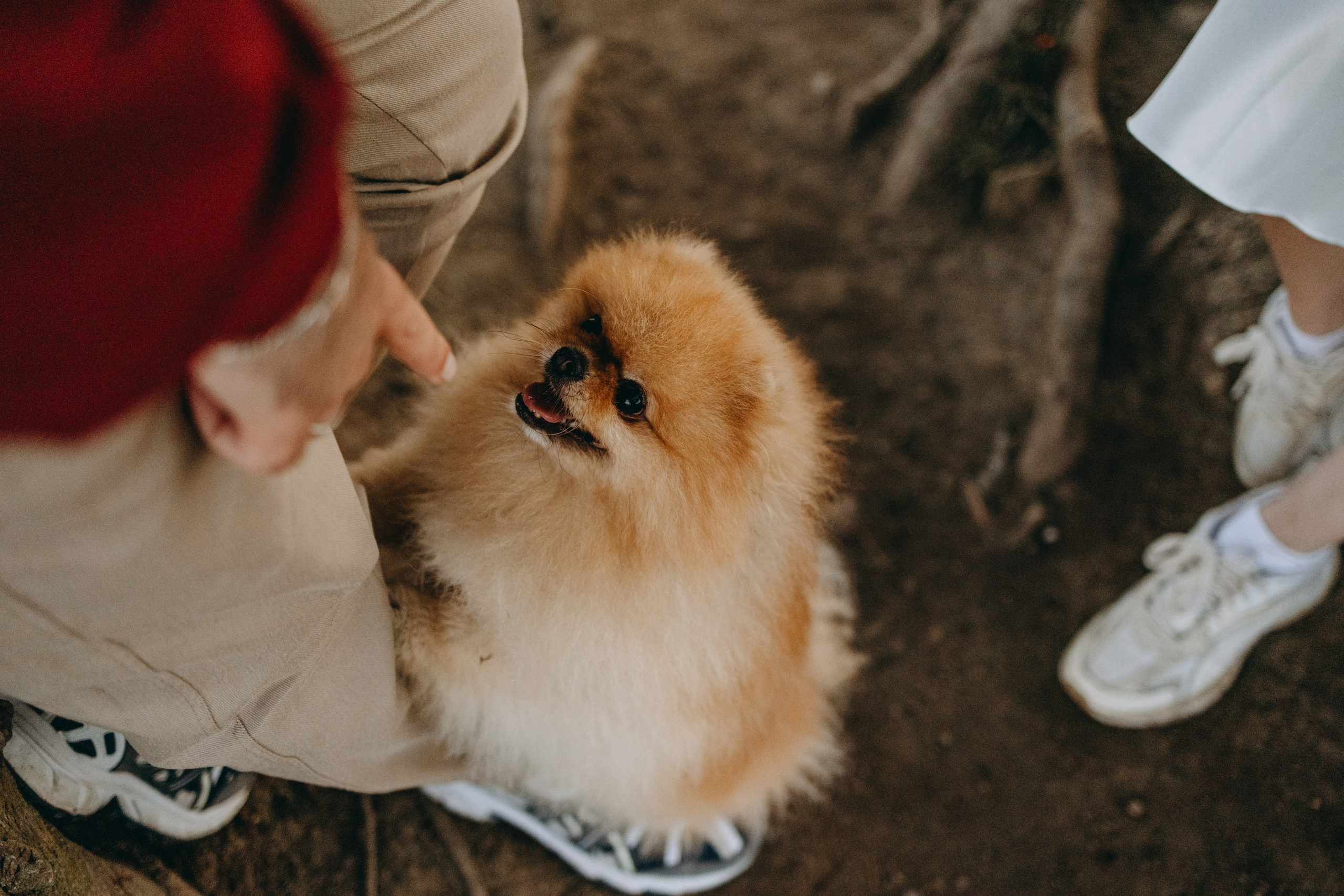 Стив и его семья. Фотограф — Анималист | Санкт-Петербург