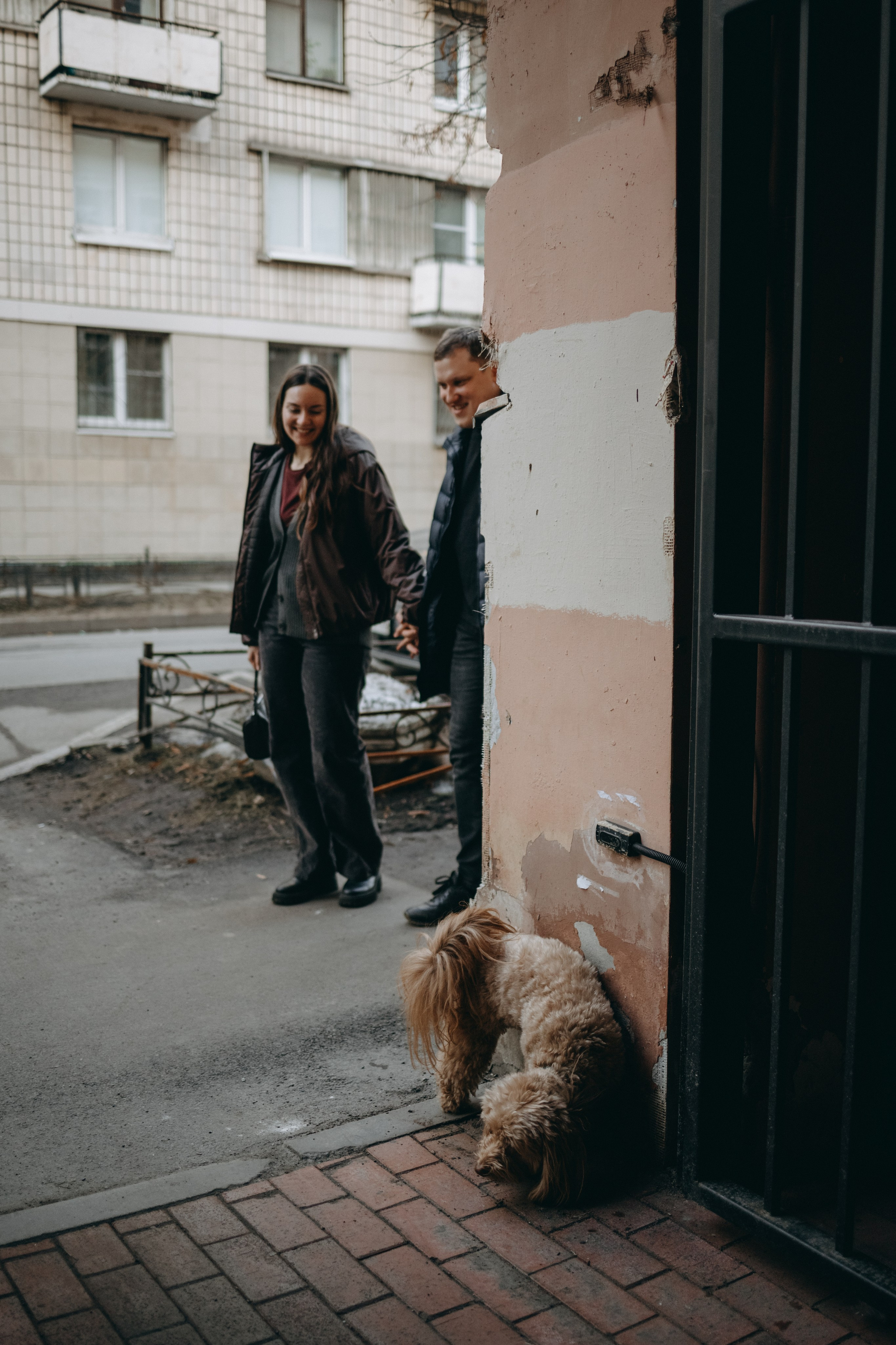 Шкипер и его семья. Фотограф — Анималист | Санкт-Петербург